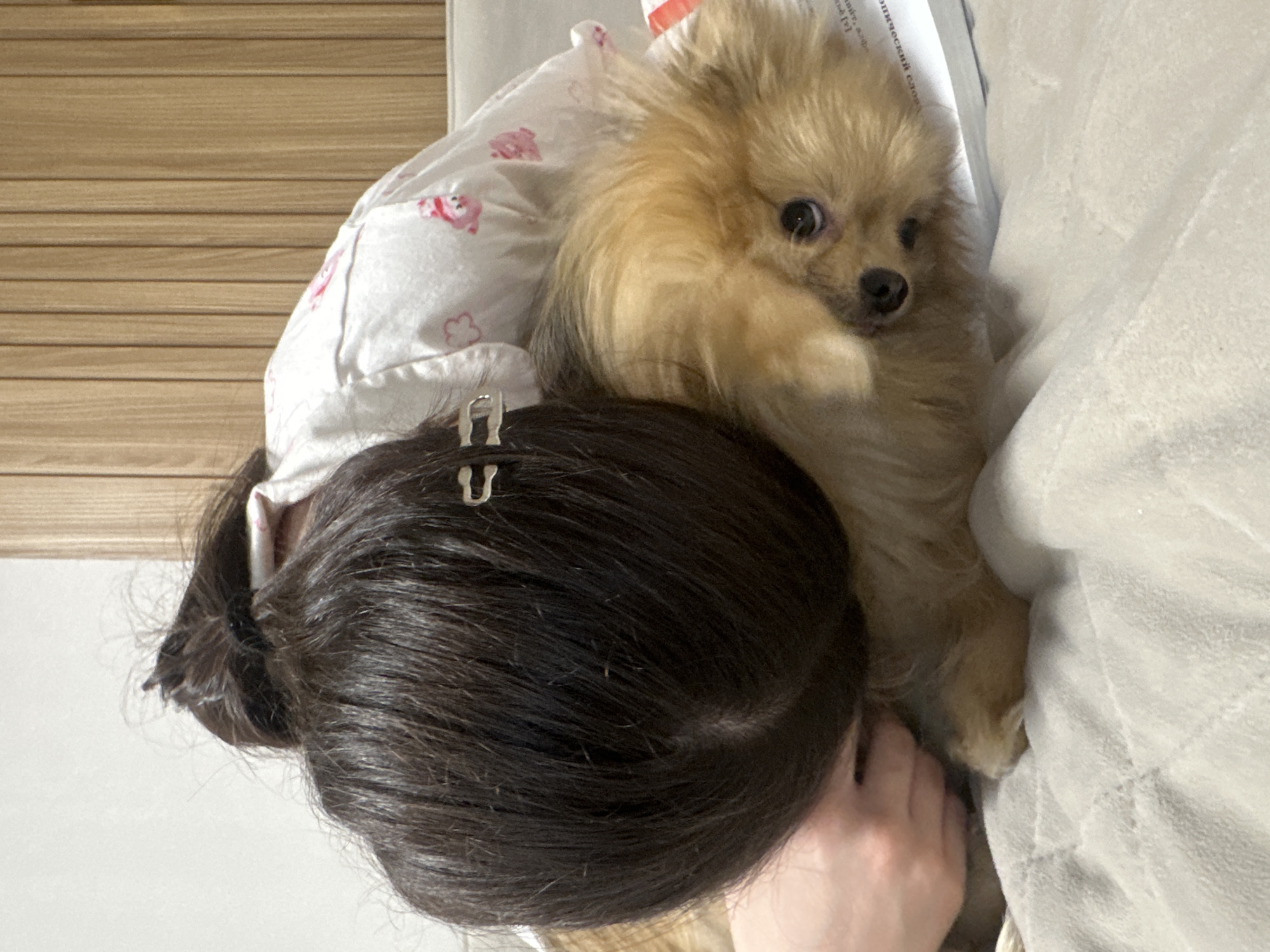 A close-up shot depicts a person with dark hair tied back with two silver hair clips lying down, presumably on a bed. Next to the person is a small, tan-colored Pomeranian dog. The person is wearing a white pajama top with pink hearts. Part of a document or book is visible near the dog. The background includes a wooden wall. The environment looks like an interior scene, likely a bedroom. There's no information to indicate the location is Votkinsk, Russia.