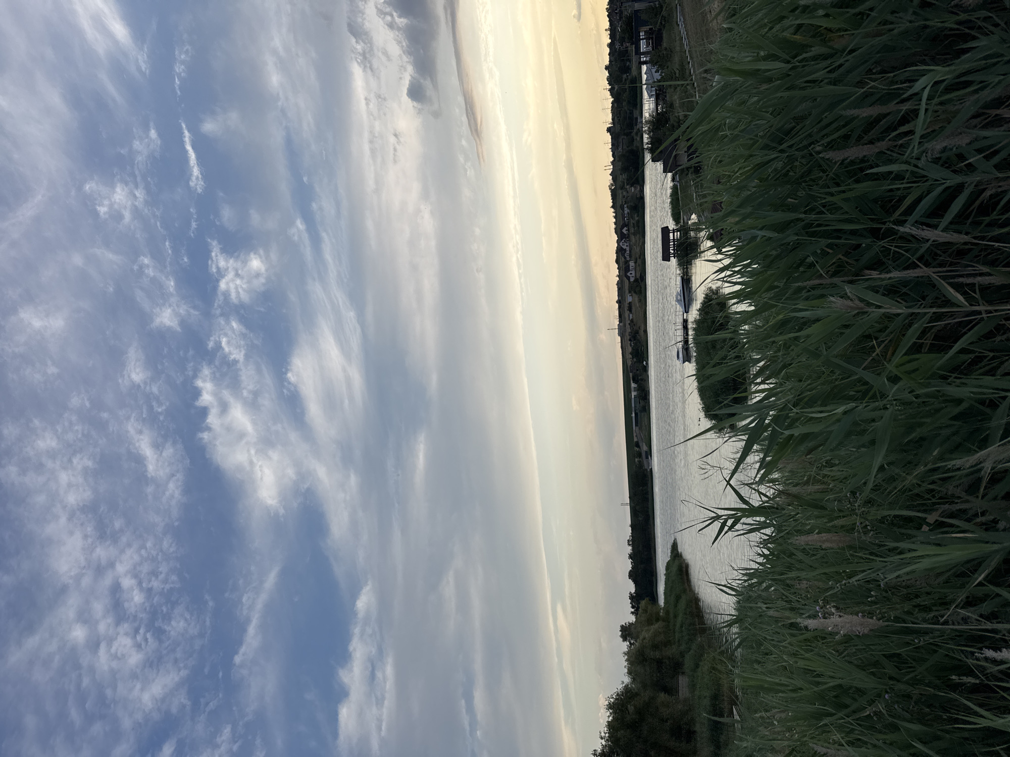 A calm body of water, likely a river or lake, is visible under a cloudy sky with streaks of white and gray against a blue backdrop transitioning to yellow near the horizon. Tall green reeds dominate the foreground, obscuring much of the immediate shoreline. In the mid-ground, the water's surface reflects the sky and shows a few small boats moored to a wooden dock. On the opposite bank, there is a line of trees and vegetation, behind which a few houses and structures are visible. The overall impression is of a tranquil, rural landscape, possibly a village or a suburban area near a body of water in Karachunivka, Ukraine.