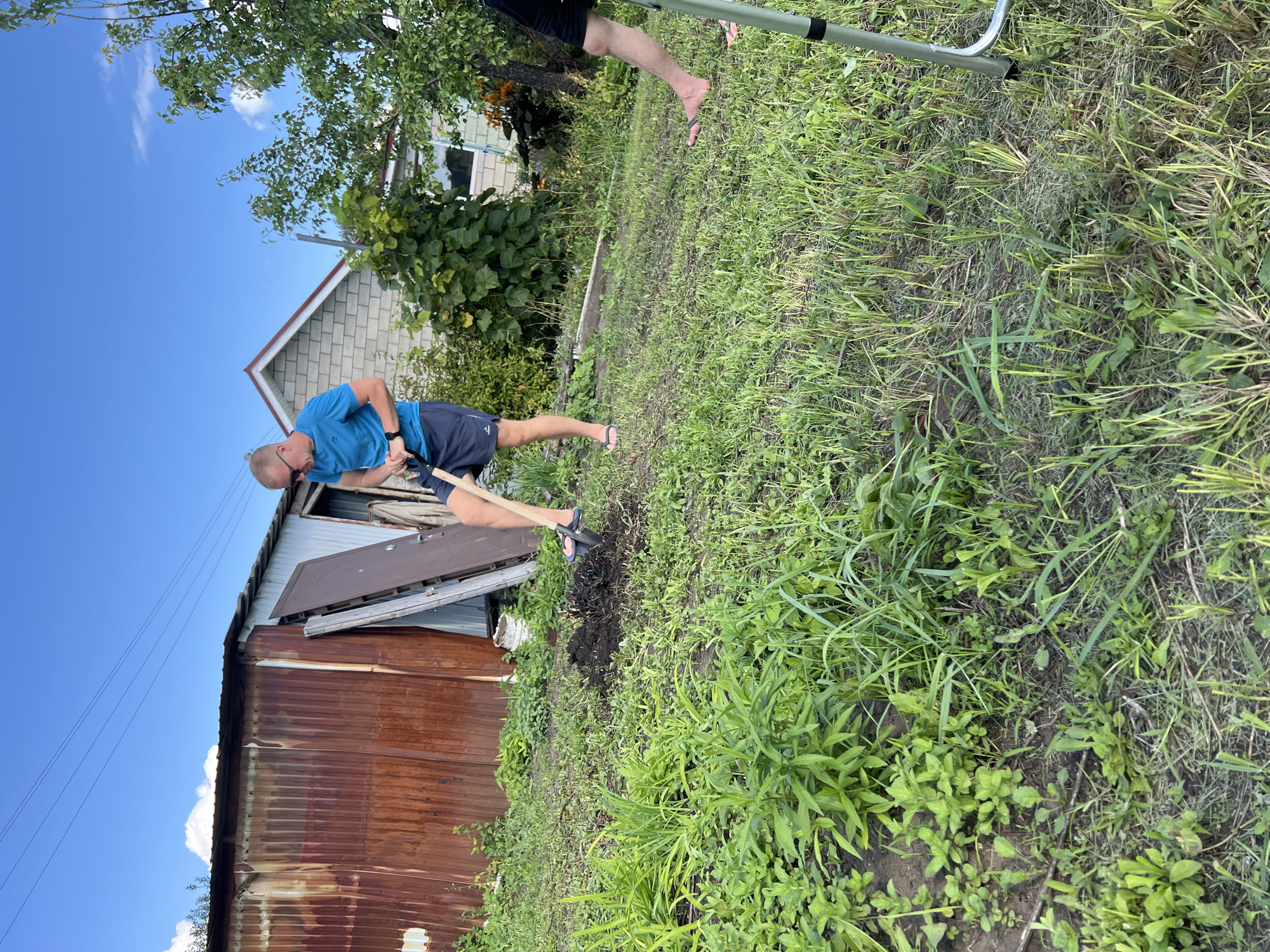 In Volzhskiy Utes, Russia, a man wearing a blue t-shirt and dark shorts is digging in a grassy yard with a shovel. He is focused on his task, with a mound of dirt next to the hole he is creating. In the background, a rusty, corrugated metal shed stands alongside a brick house with a red-tiled roof. Lush green foliage and trees surround the property, with a clear blue sky overhead. Another person's legs are visible in the foreground, suggesting they are standing nearby. The scene appears to be a casual outdoor activity, possibly gardening or yard work, on a sunny day.
