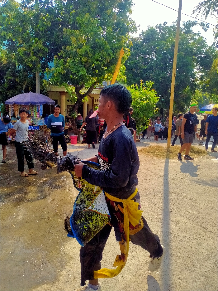 The image depicts an outdoor communal scene in Sepat, Indonesia, under bright daylight with strong shadows.
In the foreground and center, an adult male is captured mid-stride, walking from left to right. He wears a dark long-sleeved shirt, dark trousers, and white sneakers. A yellow fabric sash is tied around his waist, and a gold-colored chain adorns his neck. His hair is short, dark, and appears to have a subtle greenish tint. He holds a large, stylized, and textured prop with both hands, predominantly black and yellow with blue highlights, possibly representing a traditional performance item like a horse head (e.g., Kuda Lumping or Jaranan). The prop shows signs of wear, including dark and yellow splatters and rough, branch-like extensions.
To the left of the frame, in the midground, a light blue/green building with a brown-tiled roof is partially visible behind lush green trees. In front of the building, a purple umbrella covers a vendor stall displaying various packaged goods. Two male individuals stand near the stall, looking towards the main subject: one in a light-colored T-shirt and dark pants, the other in a dark blue T-shirt with a white stripe and dark pants.
To the right of the frame, a tall, slender yellow pole stands vertically. In the background, a group of people is visible, some standing, some walking. Notable individuals include a man wearing a bright green head covering with a black T-shirt and shorts, and another man in a blue T-shirt. Scattered patches of dried grass or hay are present on the ground.
The ground surface in the immediate foreground consists of a mix of light-colored dirt and a darker, possibly wet or muddy, patch on the left. The scene suggests a public gathering or cultural event.