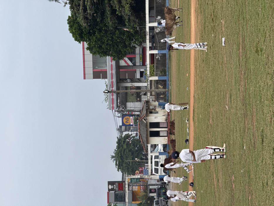 The image depicts a cricket practice scene on a grassy field in Dikwella, Sri Lanka, under an overcast sky. Approximately ten individuals, primarily children or young adults, are present on the field. Most are dressed in white cricket attire, including pads and helmets, and some hold bats. One person in the foreground stands with their back to the viewer, wearing white pads and a blue helmet. Another individual in white pads and a blue helmet is visible further right, facing left. A person holding a bat stands near a small hut in the mid-ground.
Several cows are present on or near the field. Three light brown cows are lying down near a small, single-story white building with a brown tiled roof located on the left side of the field. A fourth brown cow stands near the right boundary, close to another individual in cricket whites.
The background features a street with various commercial buildings and infrastructure. Prominent signage includes "GRANDPASS" on a multi-story building on the left and "P&S" on a blue and yellow sign in the center. Utility poles and power lines are visible, along with green trees. A white van and a green three-wheeled vehicle (tuk-tuk) are parked or moving on the street behind a low wall that borders the cricket ground.