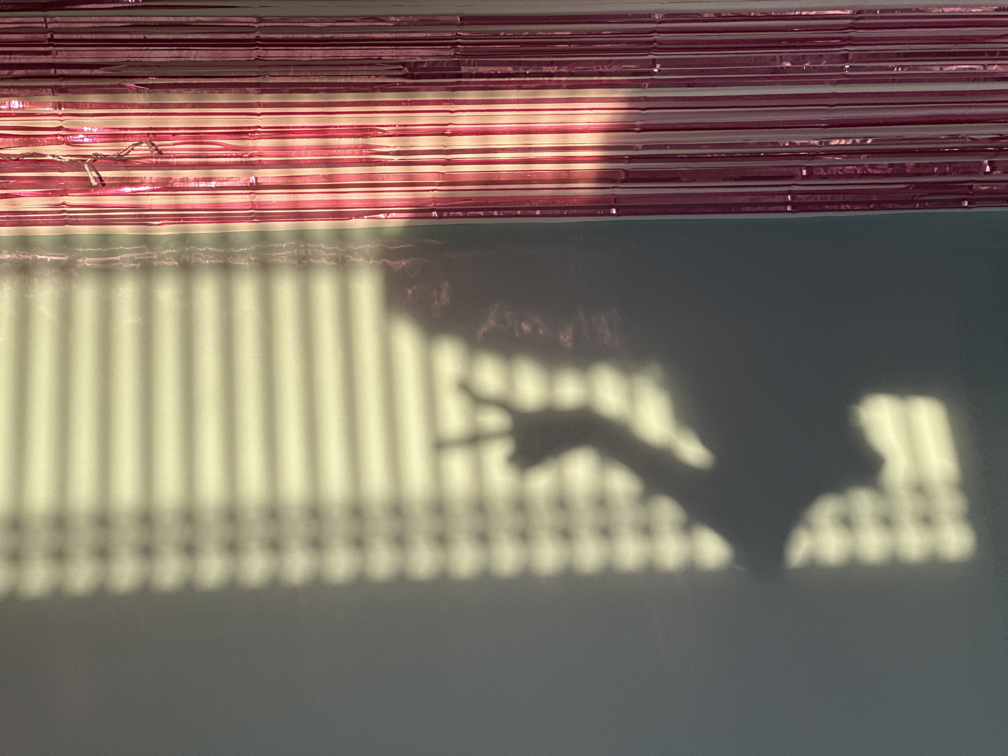 The image depicts a shadow of a person on a textured wall, projected through what appears to be window blinds. The shadow is dark and slightly blurred, showing a human silhouette with one arm raised in a peace sign gesture. To the right of the wall, there is a partition made of vertical, shiny pink and silver streamers, likely a party decoration. The lighting suggests it is daytime, with sunlight casting distinct patterns from the blinds onto the wall and also reflecting off the streamers. The overall impression is of an indoor scene, possibly a room. There is no information about the specific location in Thủ Đức, Vietnam that can be determined from the image itself.