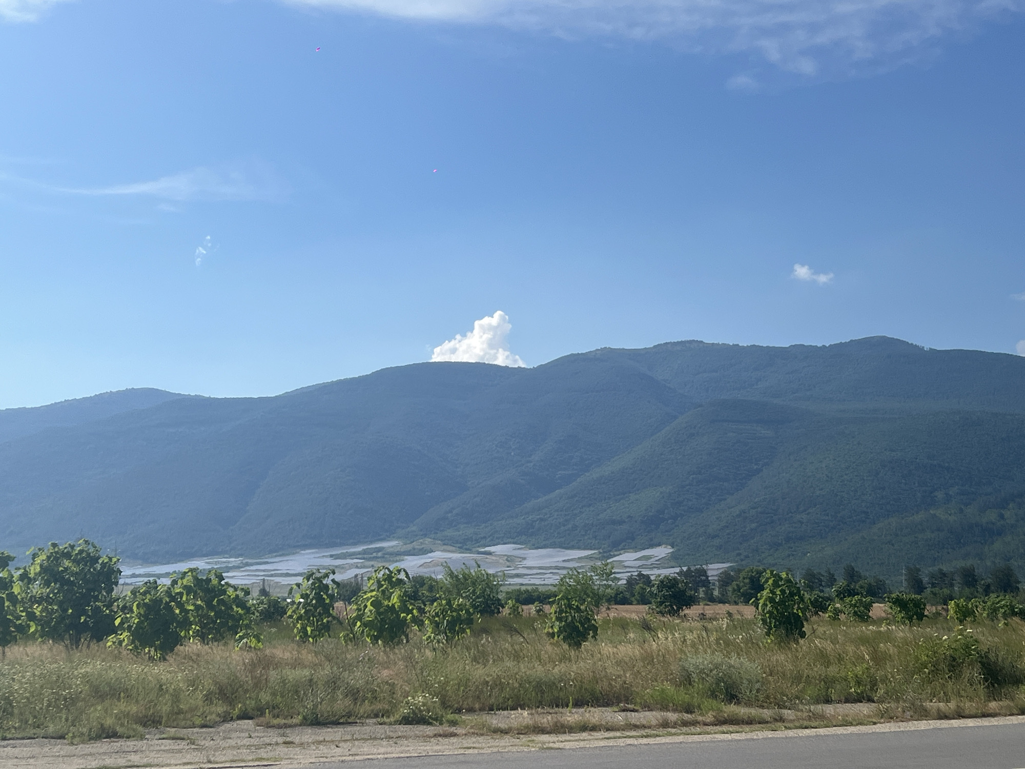 This image captures a rural landscape in Dabovo, Bulgaria, under a clear blue sky with a few scattered white clouds. In the distance, large, verdant mountains dominate the horizon, their slopes covered in dense foliage. A single, large cumulus cloud billows at the peak of one of the mountains. In the mid-ground, a large agricultural area is visible, possibly covered with plastic sheeting, suggesting greenhouses or protected cultivation. In the foreground, a field of tall, dry grass and a line of lush green trees are present. The sun appears to be high in the sky, indicating it is daytime, likely mid-morning or early afternoon. The overall atmosphere is serene and peaceful, evoking a sense of natural beauty and agricultural activity. There are no people or discernable objects that suggest a specific event taking place. The image composition focuses on the natural scenery and the agricultural elements of the landscape.