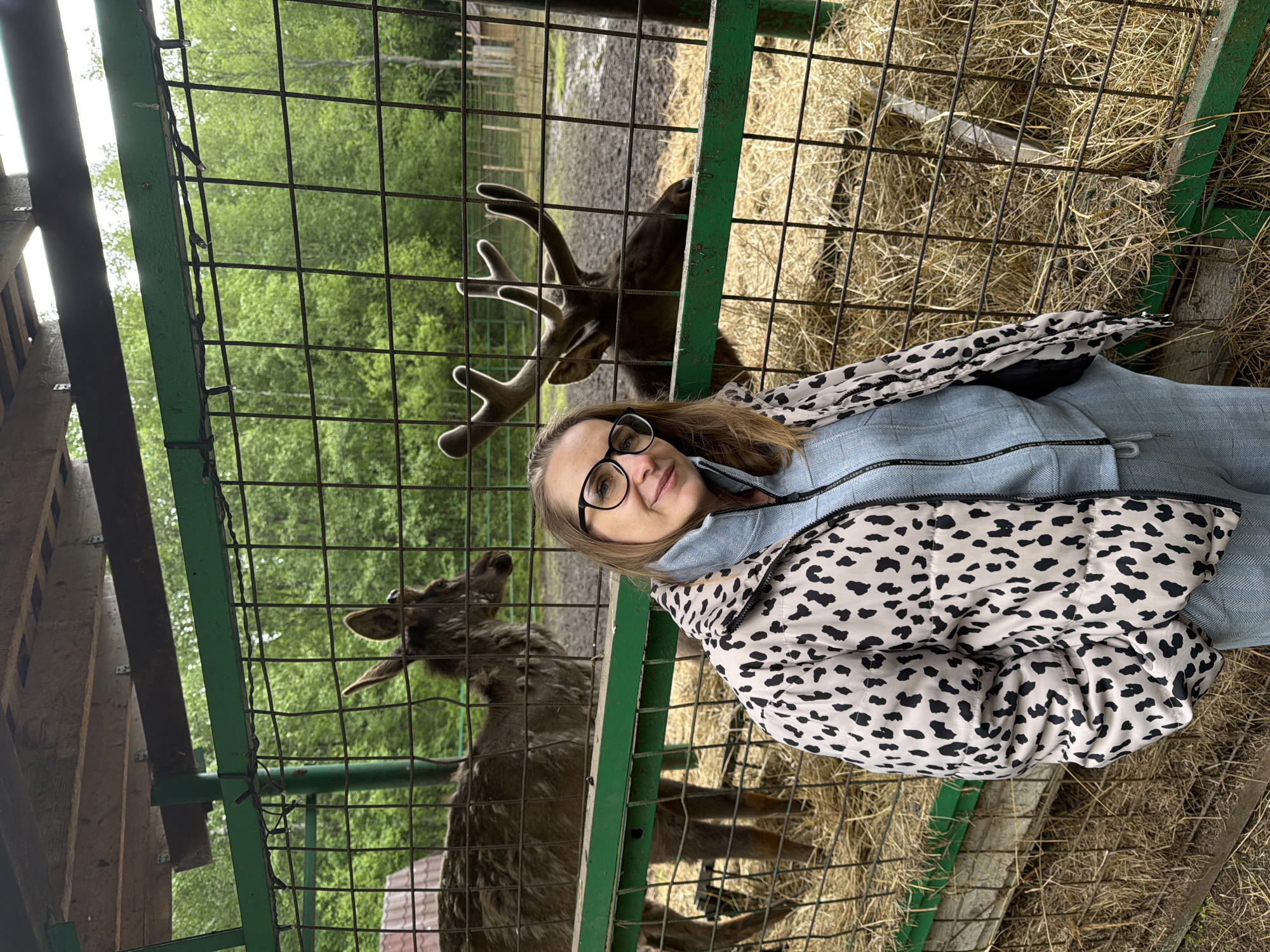 A woman with dark-framed glasses and a light-colored jacket with black spots is standing in front of a green metal fence. Behind the fence are two deer. The location is identified as Zaplav'e, Russia. The ground within the fence is covered with hay and bare ground. Trees are visible in the background.