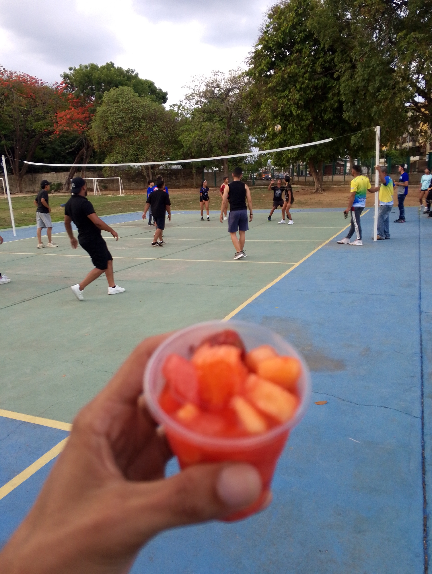The image shows a volleyball game in progress on an outdoor court. The court is marked with yellow lines on a blue and green surface. Several people are playing volleyball, and others are watching. A volleyball net is strung across the middle of the court. In the foreground, a hand holds a clear plastic cup filled with diced fruit, possibly papaya and watermelon. Trees surround the court, and a cloudy sky is visible above. The presence of a soccer goal along the court boundary indicates the location may be a multi-purpose recreational area. Based on the request for the location in the city of San Carlos, Venezuela, the image could potentially be of Parque Dr. Manuel Antonio Pulido, a common recreational location.