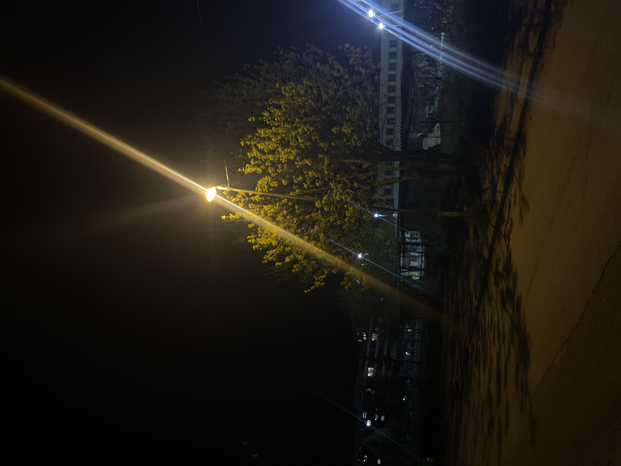 The image depicts a night scene in what appears to be a park or green space in an urban environment. A tree with foliage illuminated by a street lamp is centered in the frame. The street lamp casts a bright, direct light and starburst effect. In the background, a building is visible with multiple lighted windows, indicating residential or commercial occupancy. To the right, a street or sidewalk is visible, illuminated by the ambient light, with shadows cast by trees. The location appears to be in Sofia, Bulgaria based on visual characteristics. The scene is still and there is no indication of activity involving people or animals.