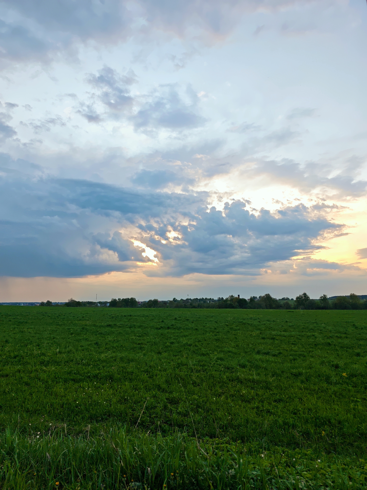 The image shows a green field in Yakhroma, Russia under a cloudy sky with the sun breaking through. The field extends to the horizon, where a line of trees is visible. The sky is a mix of blue, gray, and white clouds with a patch of sunlight. The foreground includes some tall grass.