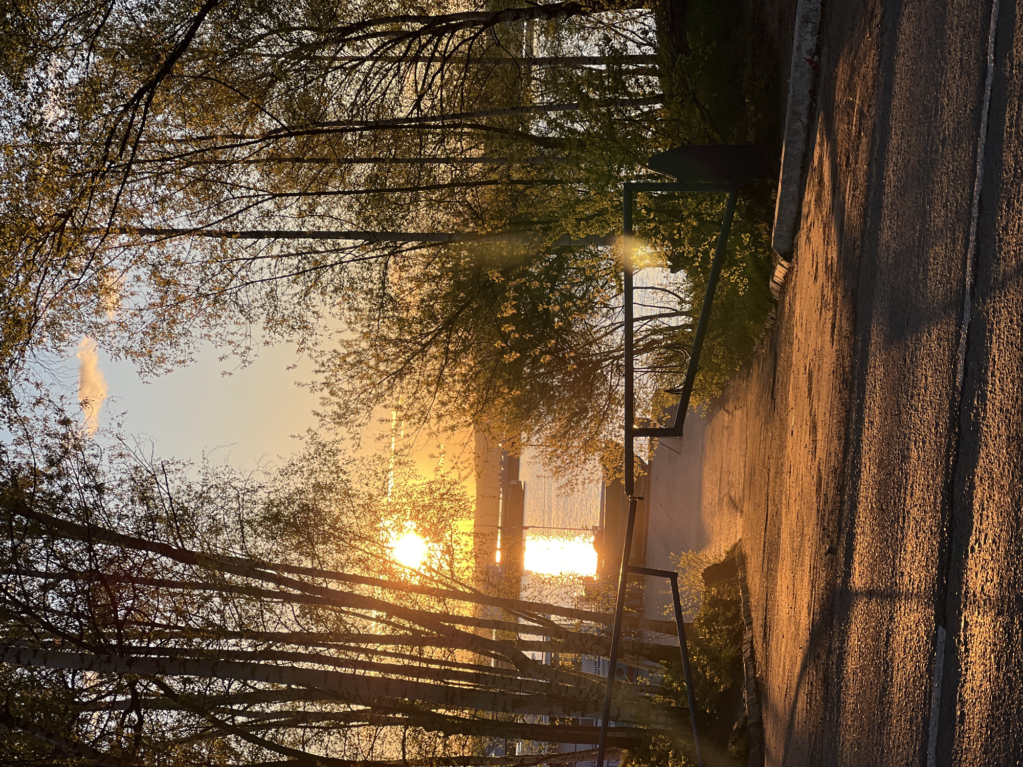 Here is a description of the image:
The image shows a golden sunset shining through trees and reflecting on water in the city of Chaikovsky, Russia. The sky is a pale blue transitioning to gold near the horizon where the sun is setting. The sun's reflection forms a bright path on the water. In the foreground, the silhouettes of bare trees and early spring foliage frame the scene on either side. The ground, possibly a pathway, is lit by the warm light of the setting sun. Part of a structure, perhaps a railing or fence, is visible.