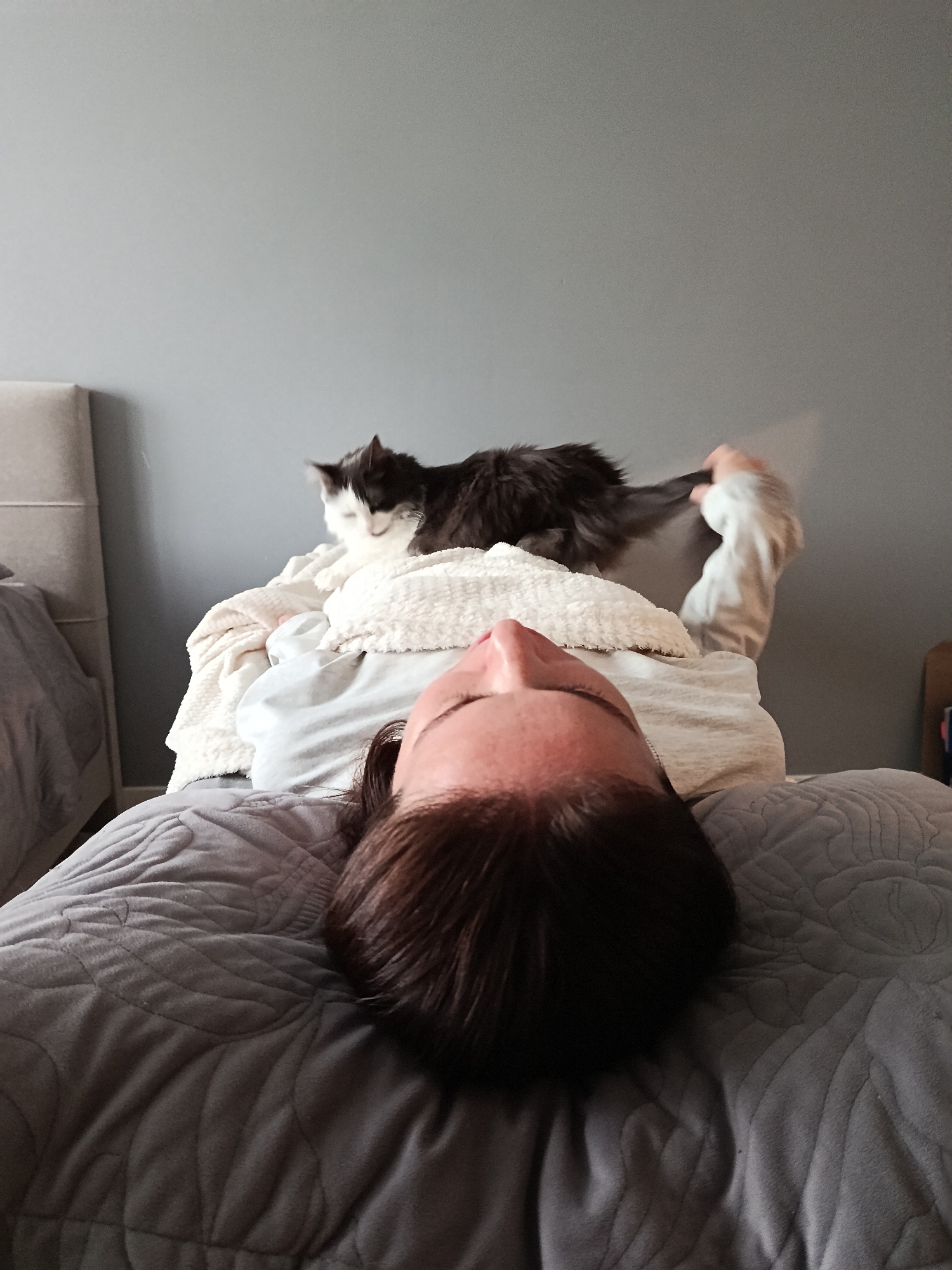 A person is lying on a bed with a gray quilted comforter. Their head is centered in the foreground, facing upwards. The person has short, dark brown hair. A cat is perched on the person's torso, covered with a white blanket or robe. The cat is black and white and appears to be grooming or playing with the person's hand. The background is a plain gray wall. A headboard is visible on the left side of the frame. The location is not discernible from the image.