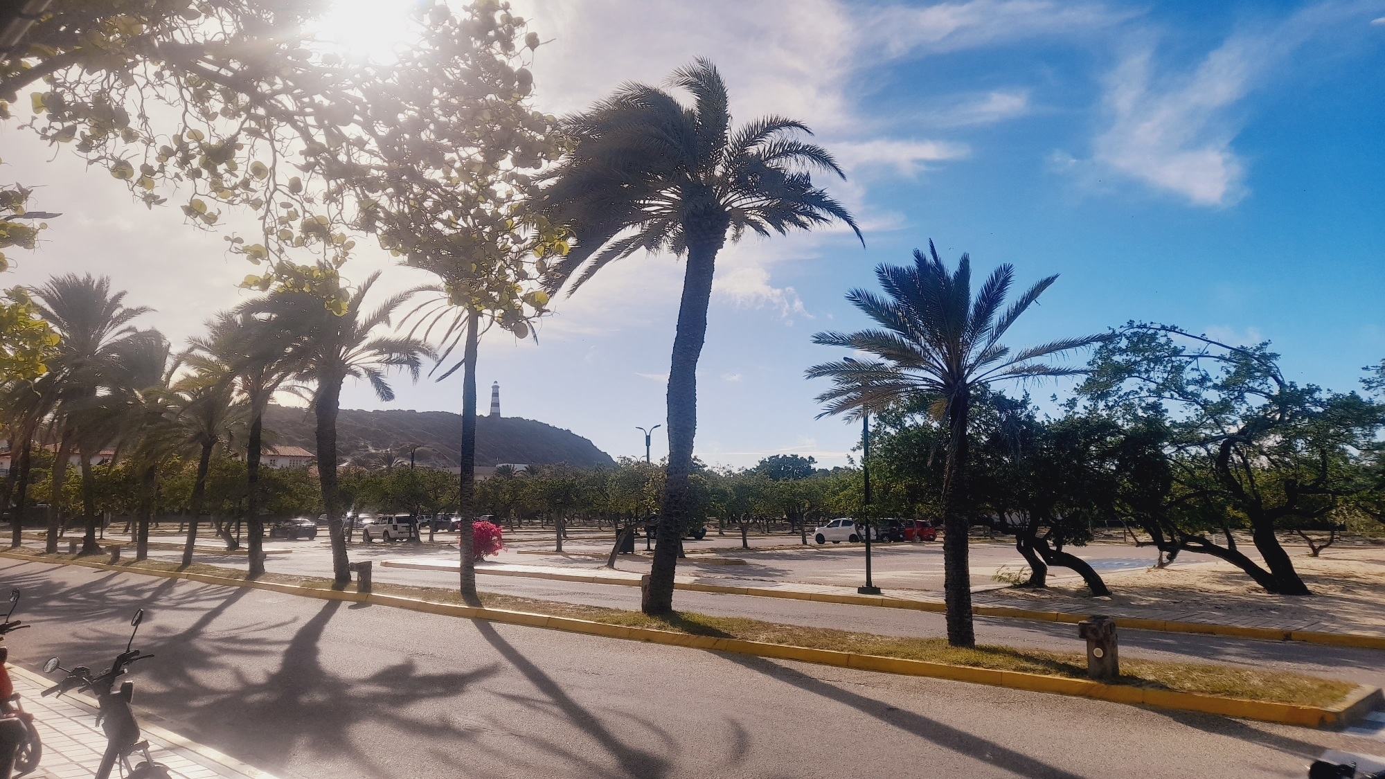 The image depicts a street scene in Pedro González, Venezuela, under a bright, sunny sky with scattered clouds. In the foreground, a paved road is visible, with a sidewalk bordering it. The sidewalk is lined with palm trees casting long shadows across the road. Several vehicles, including cars and motorcycles, are parked or driving on the road. Beyond the street, a parking lot is seen, filled with more cars.
In the background, a lighthouse stands on a hill, a prominent landmark in the distance. The landscape is dotted with various trees, some of which are bent and twisted, suggesting strong winds. The environment appears to be a coastal or semi-arid region, characterized by the presence of palm trees and sandy areas. The overall impression is of a tropical or subtropical location with a laid-back, sunny atmosphere.