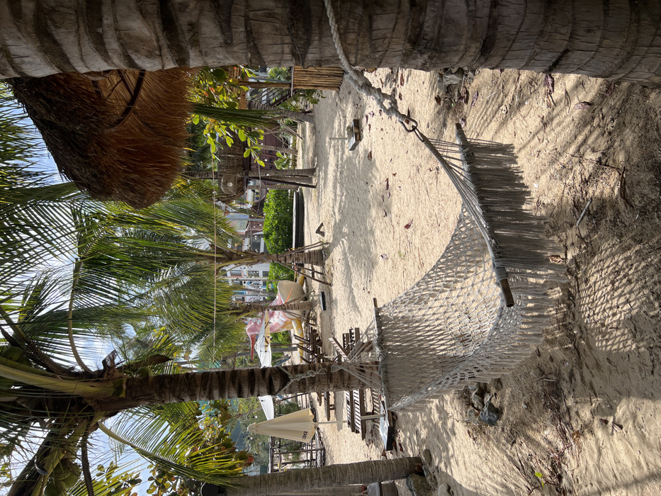 A beach scene shows a hammock strung between two palm trees, casting shadows on the sandy ground. Another palm tree is visible to the left. Further into the scene, beach umbrellas and lounge chairs dot the landscape, with buildings appearing in the background. A thatched-roof structure sits near the first palm tree. The image is framed by the textured bark of the palm trees used as hammock supports.