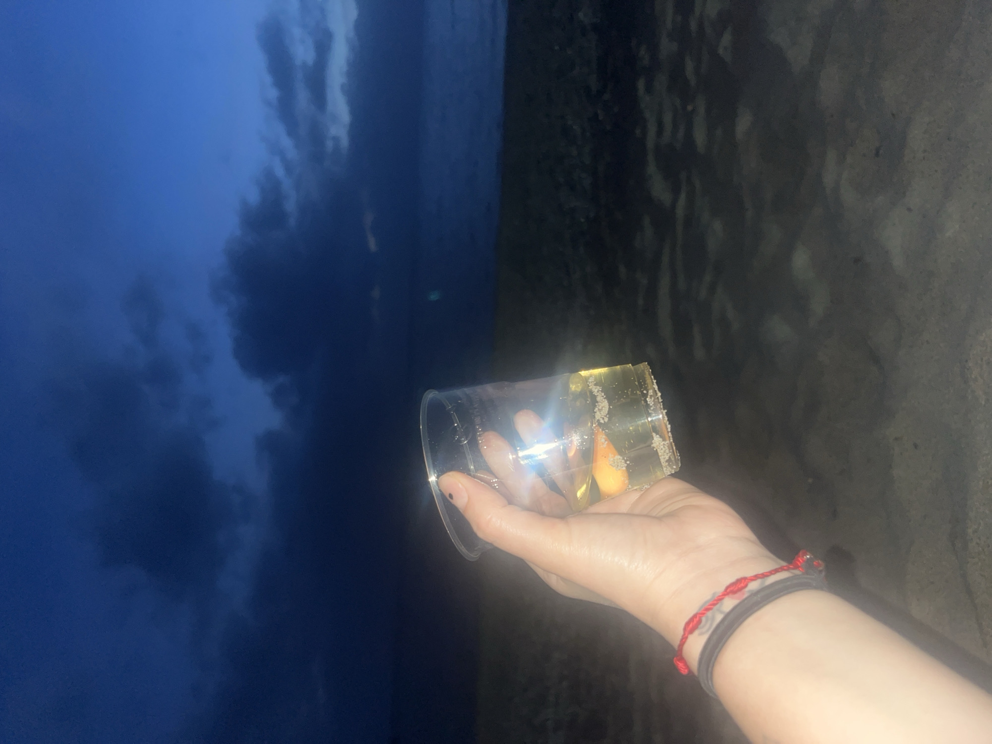 The image shows a hand holding a plastic cup containing a yellow liquid, likely a beverage. The cup's rim is coated with a white substance, possibly salt or sugar. The hand has a red bracelet and a black band around the wrist. The background is divided into two distinct sections: the left side appears to be a dark blue sky with some cloud formations, while the right side seems to be a dark, textured surface, potentially sand. This scene is possibly located on or near a beach in Ascea, Italy, as the division between the sky/sea and the ground suggests a coastal setting. The lighting is dim, indicating that the photo was taken during twilight or at night.