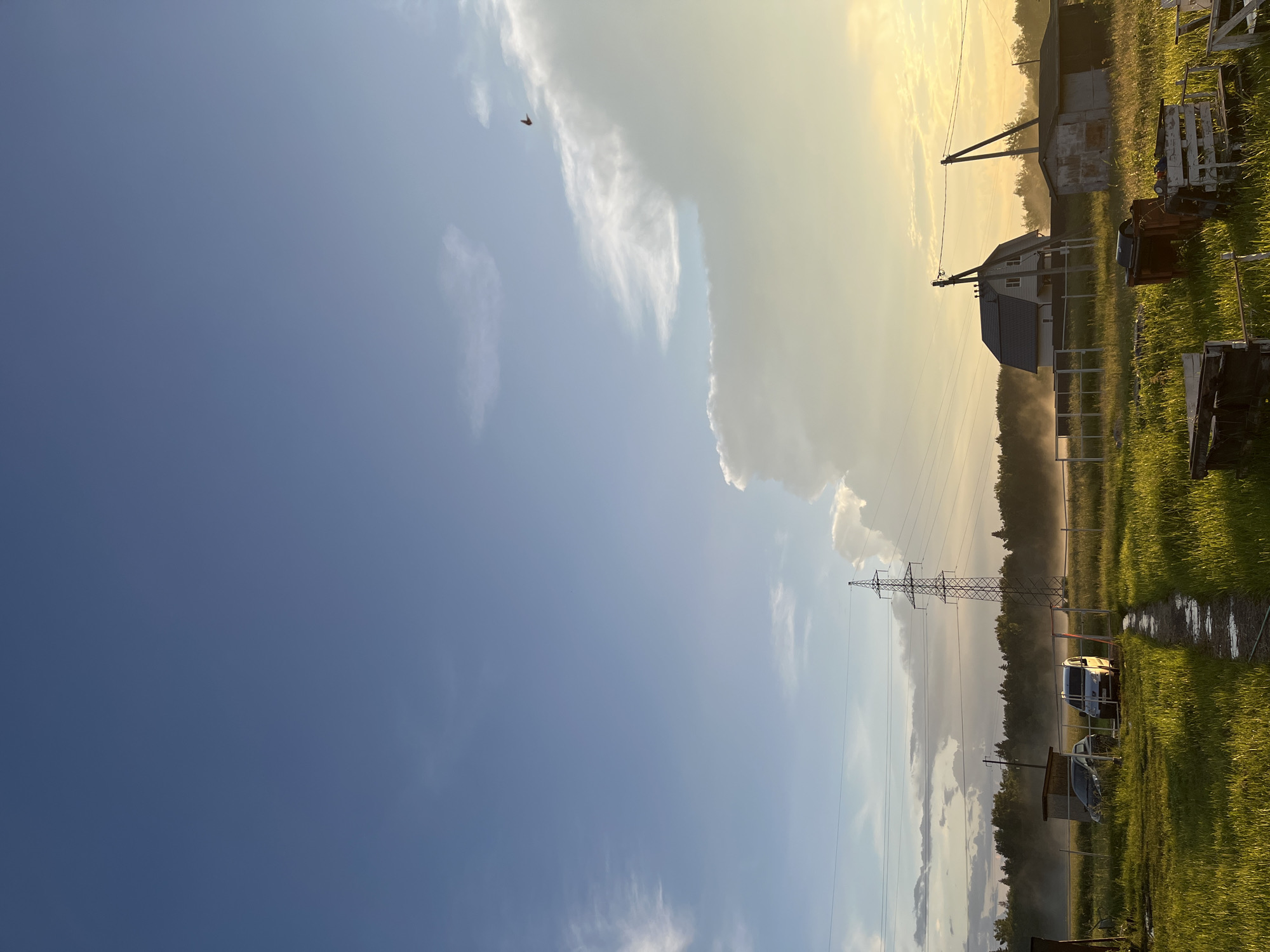 The image depicts a rural scene in Razdolye, Russia, under a hazy, late afternoon or early evening sky. The sun is low, casting a warm, golden light that mixes with pale blue and dramatic, soft-edged clouds. A lone bird is visible in the upper left quadrant. The foreground is dominated by tall, green grass, some of which is slightly flattened, suggesting it might be a field or meadow. A path, possibly made of wood or stone, runs through the grass and appears to have puddles of water on it, indicating recent rain or damp conditions.
In the middle ground, several objects and structures are scattered. A tall, metal electricity pylon stands prominently, with power lines stretching across the frame. Adjacent to it, a modern-looking two-story house with a dark roof is visible. Further to the right, a weathered, rustic shed or outbuilding is present, with some white, wooden fencing or structures nearby. To the left of the house, a smaller, darker shed is partially obscured by fencing. Two vehicles, a white van or minivan and a darker car, are parked in the grassy area. In the far background, a dense line of trees forms a dark silhouette against the bright sky. The overall atmosphere is peaceful and serene, with a hint of the untamed nature of the countryside. There is no visible text in the image.