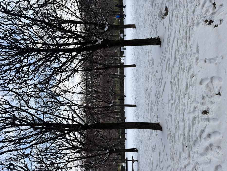 The image depicts a snow-covered formal garden in Paris, France, consistent with features found in the Tuileries Garden, under a partly cloudy sky with visible blue patches. The ground is entirely blanketed in white snow, marked extensively by numerous footprints and tracks from recent pedestrian activity. Several bare deciduous trees, uniformly pruned in a pollarded style, stand throughout the scene, their dark, intricate branches starkly contrasting against the white snow and pale sky. Small accumulations of snow are visible on some branches.
In the lower-left quadrant, a dark wooden park bench is partially obscured by snow. Numerous thick, dark tree trunks rise vertically from the snow-covered ground across the foreground and midground, leading towards a denser line of similar trees in the background. In the midground, towards the right, two individuals are walking from right to left; one wears a blue jacket and dark trousers, and the other is clad in dark attire. Further left in the midground, another dark-clad individual is visible walking. A fourth, more distant figure is faintly discernible in the background. Indistinct white shapes, possibly covered sculptures or urban furniture, are visible between trees in the midground. The scene portrays a cold winter day in a public park.