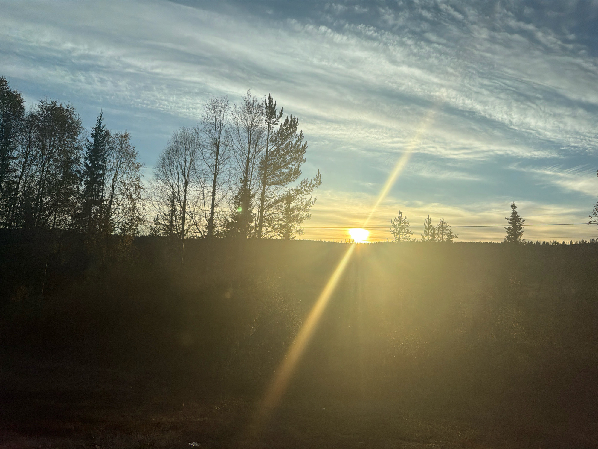 The image shows a landscape with a bright sun setting behind a line of trees. The sky is filled with wispy clouds that are illuminated by the setting sun. The foreground is dark and out of focus, with some greenery and possibly a small white object visible. The sun's rays create a strong lens flare that extends diagonally across the image from the lower left to the upper right. The trees in the middle ground are silhouetted against the bright sky, and some appear to be deciduous with bare branches, while others are evergreen. The overall impression is one of a natural landscape at dusk.