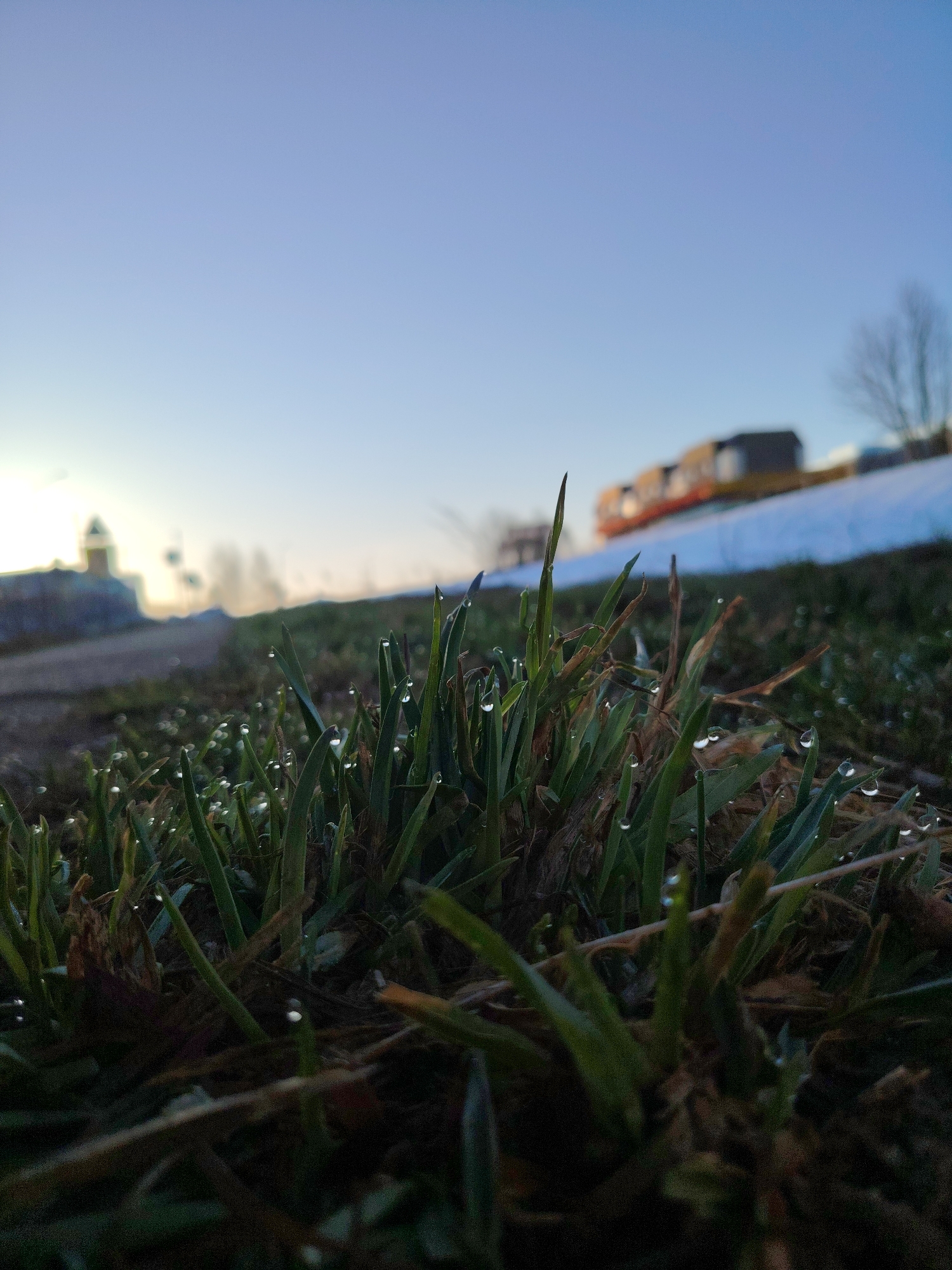 The image is a low-angle shot of grass covered in dew droplets. The grass is in the foreground and is the main subject of the image. In the midground, there is a snow-covered incline with some buildings visible in the background. The sky is pale blue, suggesting either early morning or late afternoon. The location is Markovskii, Russia, as specified. There are no people visible in the image.