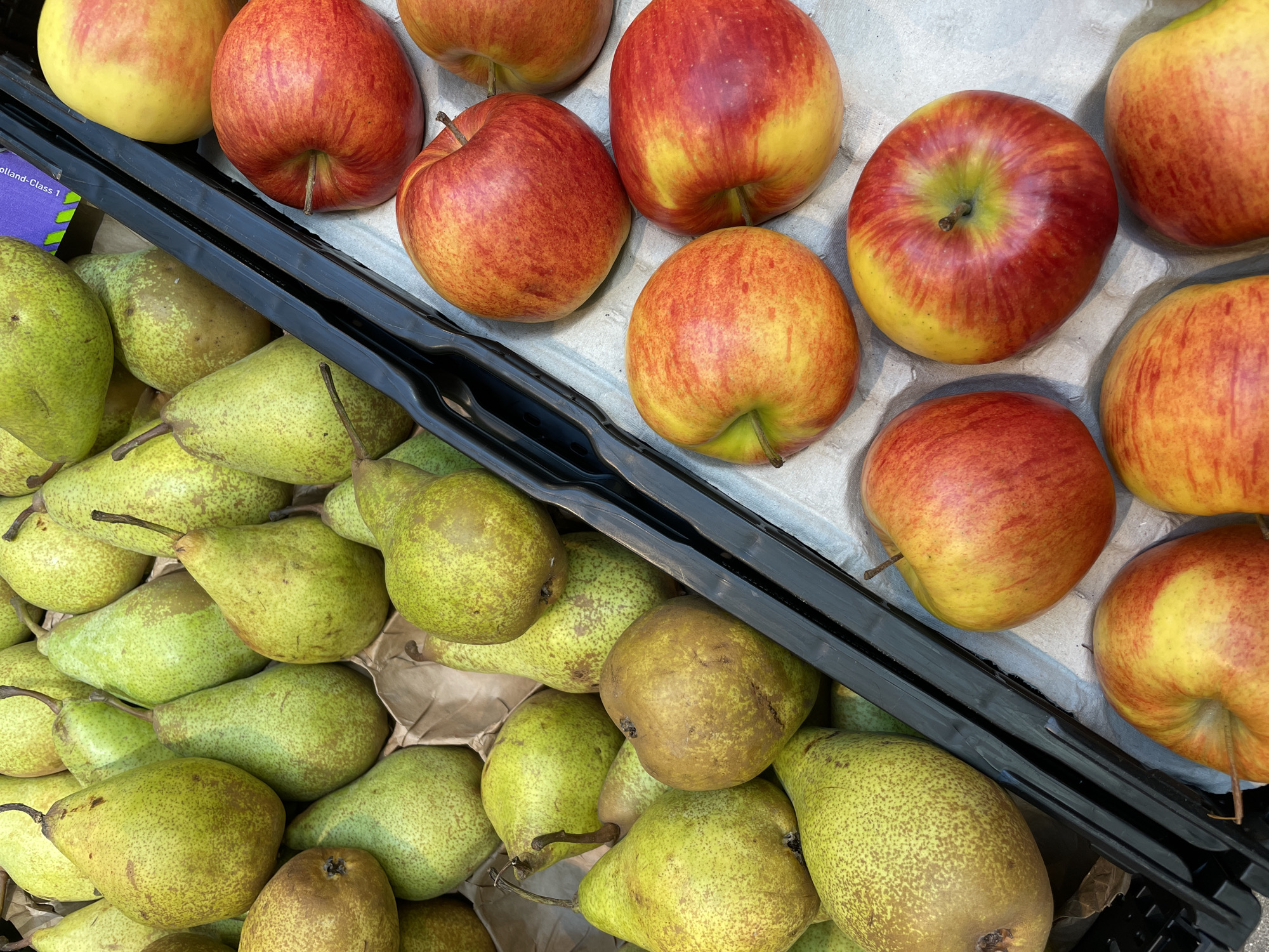 The image shows a black plastic produce container divided into two sections. The top section holds about a dozen red and yellow apples. The bottom section contains several green pears. The background appears to be a textured, light-colored surface. There are no people visible in the image. The location is Unknown, Unknown.