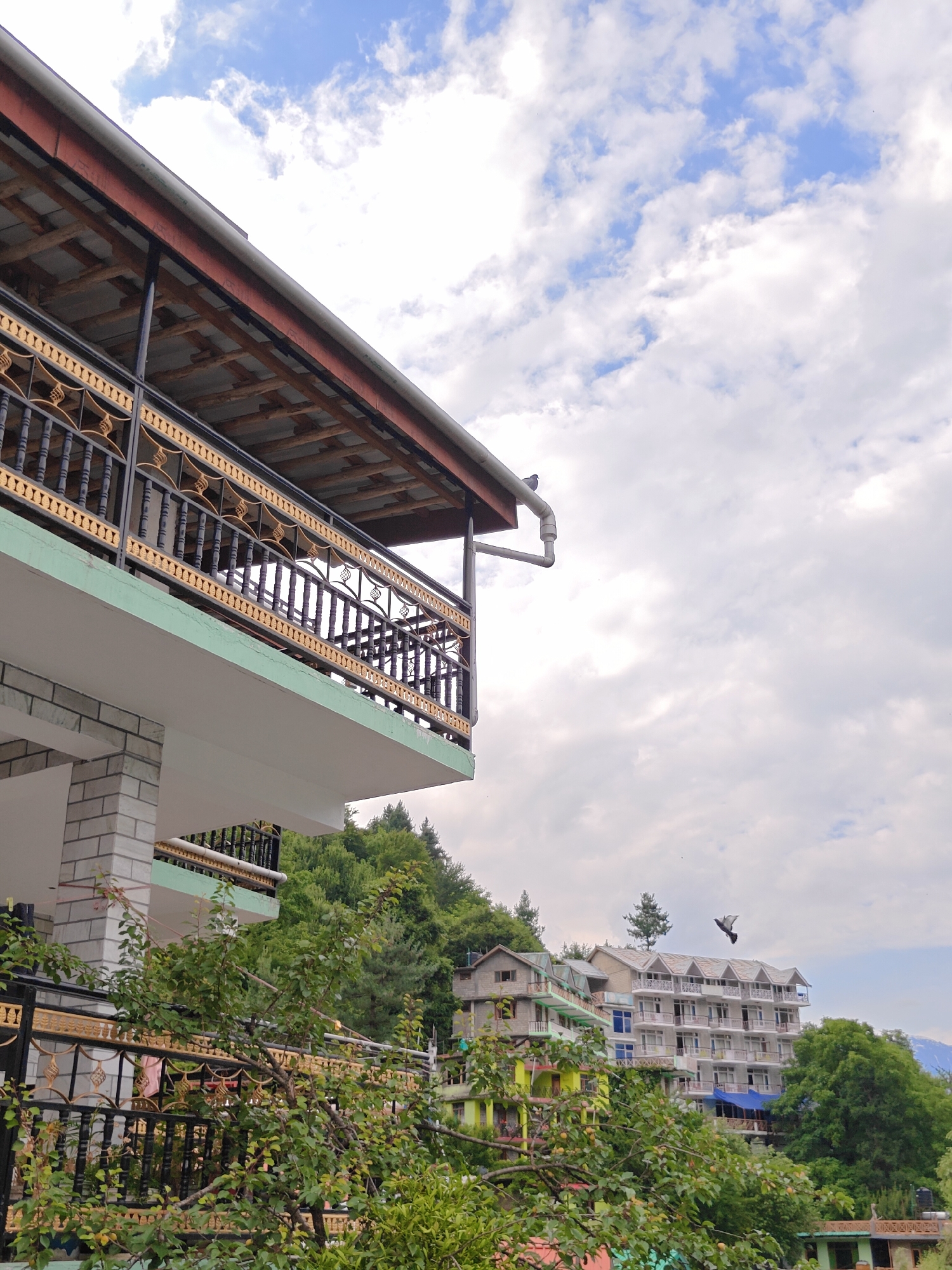 The image depicts a view of buildings and lush greenery under a cloudy sky in Vashisht, India. In the foreground, a balcony with a black and gold ornate railing extends from a white and grey brick building. Green trees and branches partially obscure the view of this building and a black metal fence below. Further in the background, a series of multi-story buildings are visible, nestled into a hillside covered in dense green trees. The buildings vary in architectural style and color, with one prominent white building featuring multiple balconies and triangular rooflines. Another building to its left is painted in bright green and yellow hues. Two pigeons are captured in flight against the sky, with one visible near the roofline of the white building and another in the mid-ground. The overall scene suggests a mountainous or hilly terrain, characteristic of Vashisht, known for its hot springs and scenic beauty.