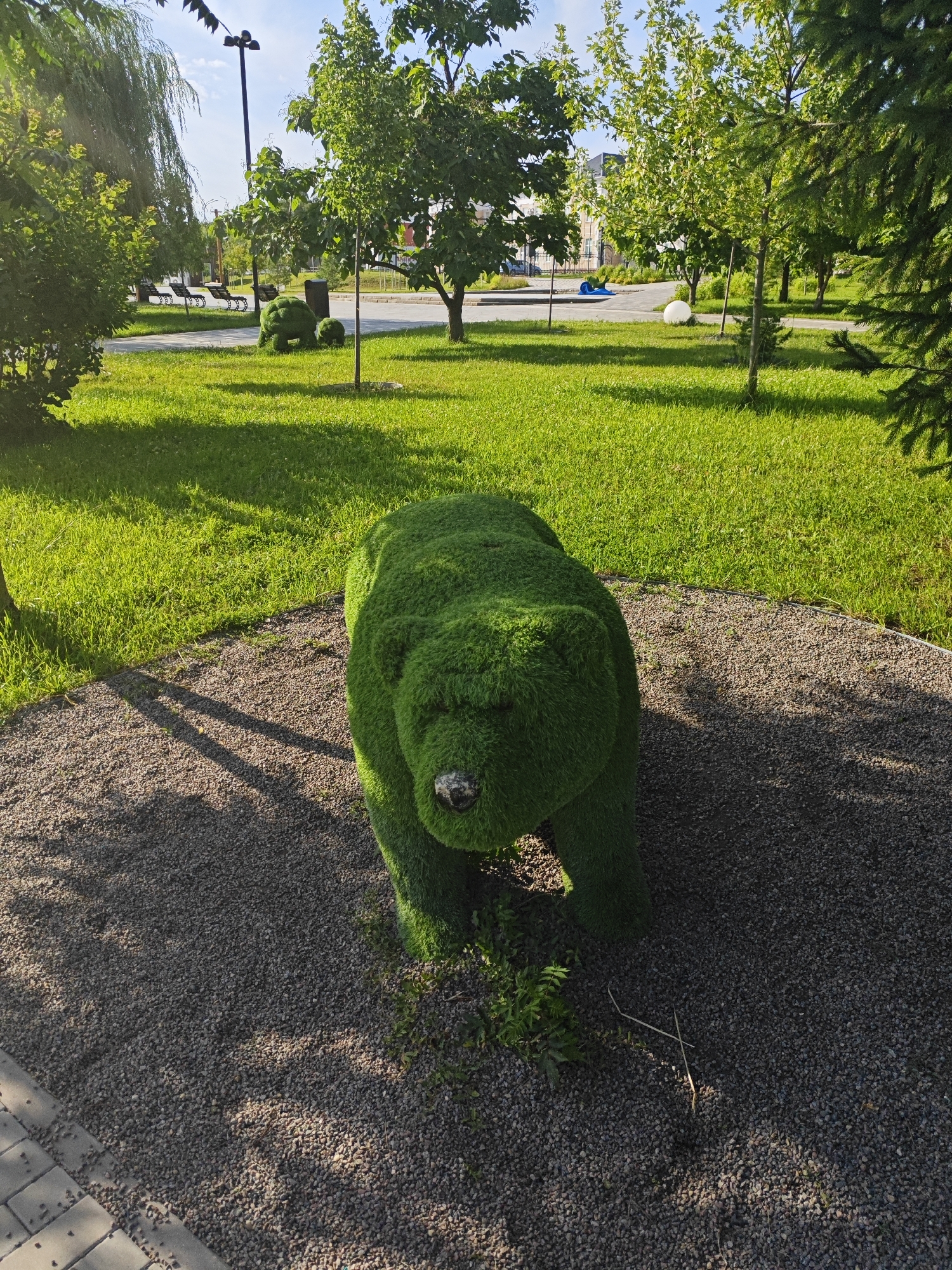 A topiary sculpture of a bear, covered in bright green artificial grass, stands in the foreground of a park. The bear is in a crouched position, facing forward, with a dark nose and small, beady eyes. It is situated on a bed of small gray pebbles, with a paved walkway made of gray interlocking bricks in the lower left corner. Sunlight casts strong shadows from the bear and nearby trees onto the ground.
Behind the bear, a lush green lawn stretches into the mid-ground, dotted with several trees with full, leafy canopies. In the distance, a pathway can be seen winding through the park, with several park benches lined up along its edge. A lamppost stands near the benches. Further back, more trees are visible, and a hint of buildings can be seen beyond the park's greenery. To the right of the bear, a large evergreen tree partially obscures the background. A white spherical object rests on the grass in the mid-ground. The scene is bathed in bright sunlight, suggesting a clear, sunny day, likely in the late afternoon given the long shadows. The overall impression is one of a well-maintained urban park, offering a serene and playful atmosphere. No people are visible in the image, and there is no visible text.