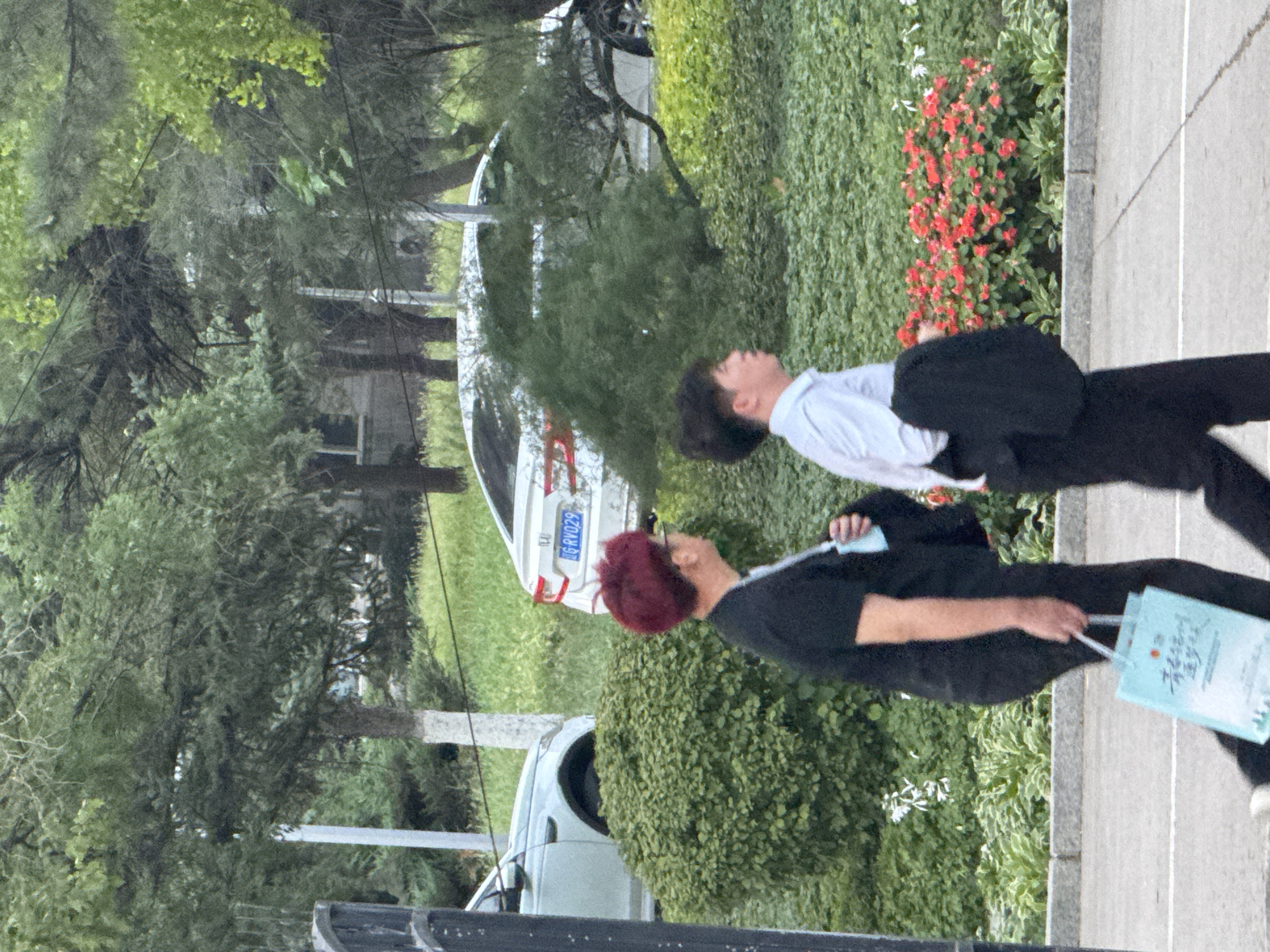 The image, captured in Linghe, China, depicts two individuals walking on a paved pathway next to a lush green area with dense foliage and blooming red flowers. The person on the left is an adult with short, reddish-dyed hair, wearing a black t-shirt, black pants, and glasses. They are carrying a light blue shopping bag with what appears to be Chinese characters printed on it. To their right, a younger individual, likely male, is walking, dressed in a white collared shirt and black pants, with a dark jacket draped over their left shoulder.
In the background, white cars are parked. One car, a white sedan with a license plate reading "LG RV029," is partially visible. Further back, mature trees with dense canopies create a shaded environment. The ground is covered with a variety of green plants, including bushes and smaller leafy plants, interspersed with vibrant red flowers. The overall scene suggests an outdoor setting in a city park or a well-maintained urban green space. The lighting indicates it may be daytime, possibly overcast or late afternoon due to the soft shadows.