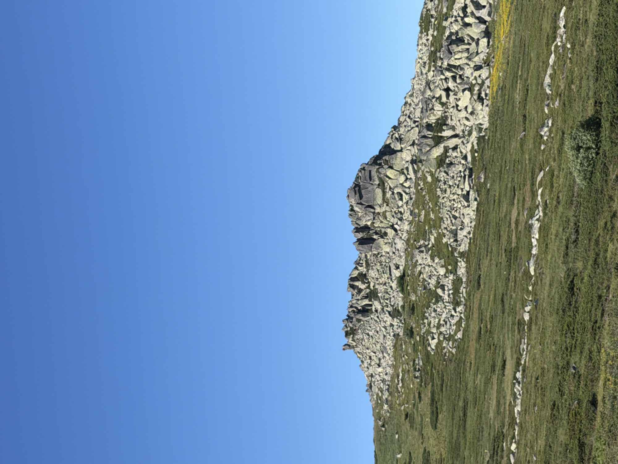The image shows a rocky mountain slope covered in green grass and low-lying shrubs. The sky is clear and blue. The rocky terrain is composed of numerous large, irregular-shaped stones and boulders, some of which appear to be weathered and rounded. The grass is patchy in places, revealing the underlying soil and smaller stones. Patches of yellow wildflowers are visible on the lower slopes of the mountain. A few scattered stones form a rough line across the grassy area in the foreground. The overall environment is natural and undeveloped, suggesting a mountainous or high-altitude region. The image is a landscape photograph taken outdoors on a sunny day. The scene does not contain any people, buildings, or urban elements. The location is the city of Bistritsa, Bulgaria.
