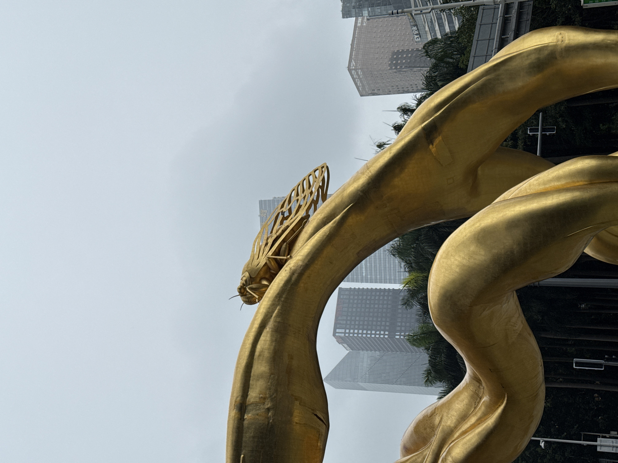 The image depicts a large, golden dragon sculpture located in the Tianhe District of Guangzhou, China. The sculpture is serpentine in form, with a prominent head featuring intricate details such as scales, whiskers, and openwork horns. The sculpture is situated in an urban environment, with modern high-rise buildings visible in the background. The sky is overcast, casting a diffuse light on the scene. Palm trees are visible in the background, suggesting a subtropical climate.