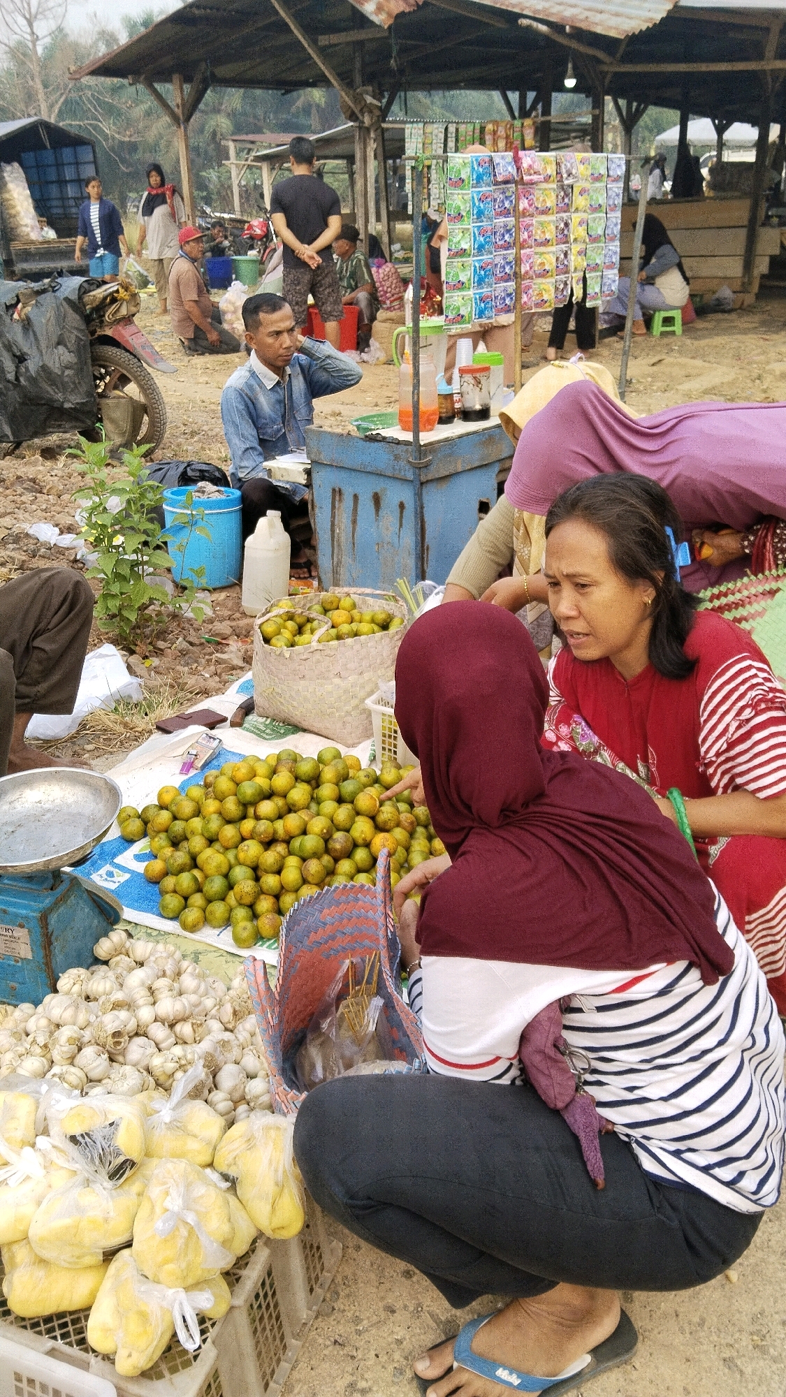 In Marga Sakti, Indonesia, a market scene unfolds with several individuals engaged in various activities. In the foreground, a woman wearing a maroon hijab and a striped shirt crouches next to a display of citrus fruits, predominantly oranges, piled on a blue and white mat. To her right, another woman in a red and white striped shirt, adorned with a blue ribbon in her hair, appears to be speaking with her. A basket filled with oranges sits behind the seated woman, and a woven basket with other items is placed beside her. In front of the fruit display, a large pile of garlic is visible, with several plastic-wrapped bundles of yellow fruit, possibly durian, in a white plastic crate. A blue scale is positioned to the left of the garlic.
Behind the foreground subjects, a man in a denim shirt is seated, seemingly attending to his stall, which includes a blue cabinet with drinks. Further in the background, under a weathered roof structure, other market-goers are present. One man in a black t-shirt stands with his hands behind his back, while others are seated or moving around. A rack displaying colorful packaged goods, likely snacks or small items, is visible. To the far left, a motorcycle is parked next to a large black trash bag. The ground is predominantly dirt and dry leaves. The overall impression is of a bustling outdoor market under a rustic canopy.