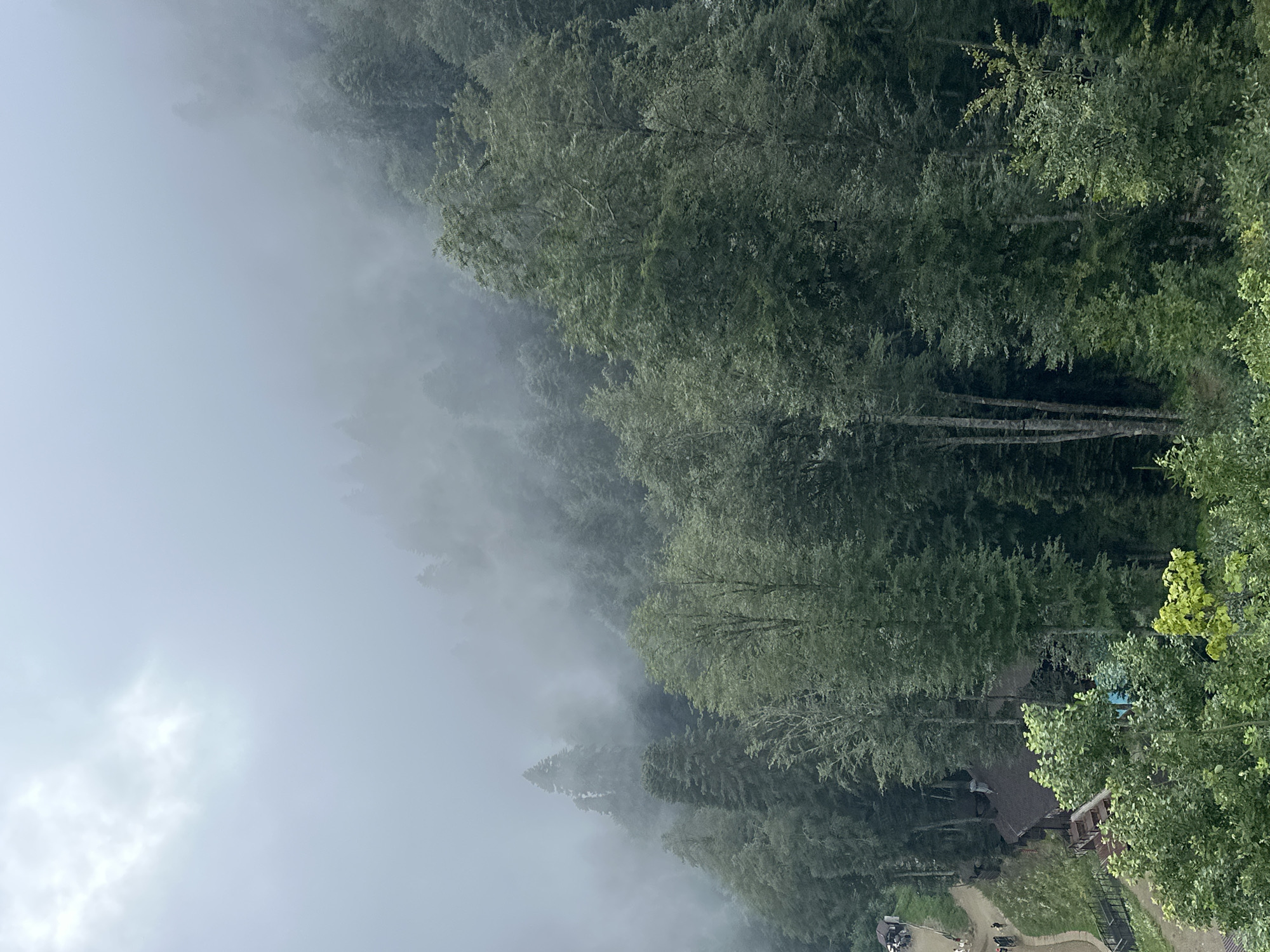 The image depicts a dense, mountainous forest in Estosadok, Russia, shrouded in thick fog and mist. Tall evergreen and deciduous trees dominate the landscape, their forms softened and blurred by the atmospheric conditions. The fog creates a sense of depth and mystery, with distant trees appearing as indistinct silhouettes.
In the lower left quadrant, a pathway winds through the trees, bordered by a wooden railing. Several people are visible walking along the path, their figures small against the scale of the forest. Nearby, a rustic wooden building with a dark roof is situated amongst the trees, appearing to be a lodge or a cafe. An outdoor seating area with tables and chairs is visible in front of the building. The foreground is filled with lush green foliage, further emphasizing the natural, untamed environment. The overall impression is one of a serene and somewhat ethereal mountain landscape.