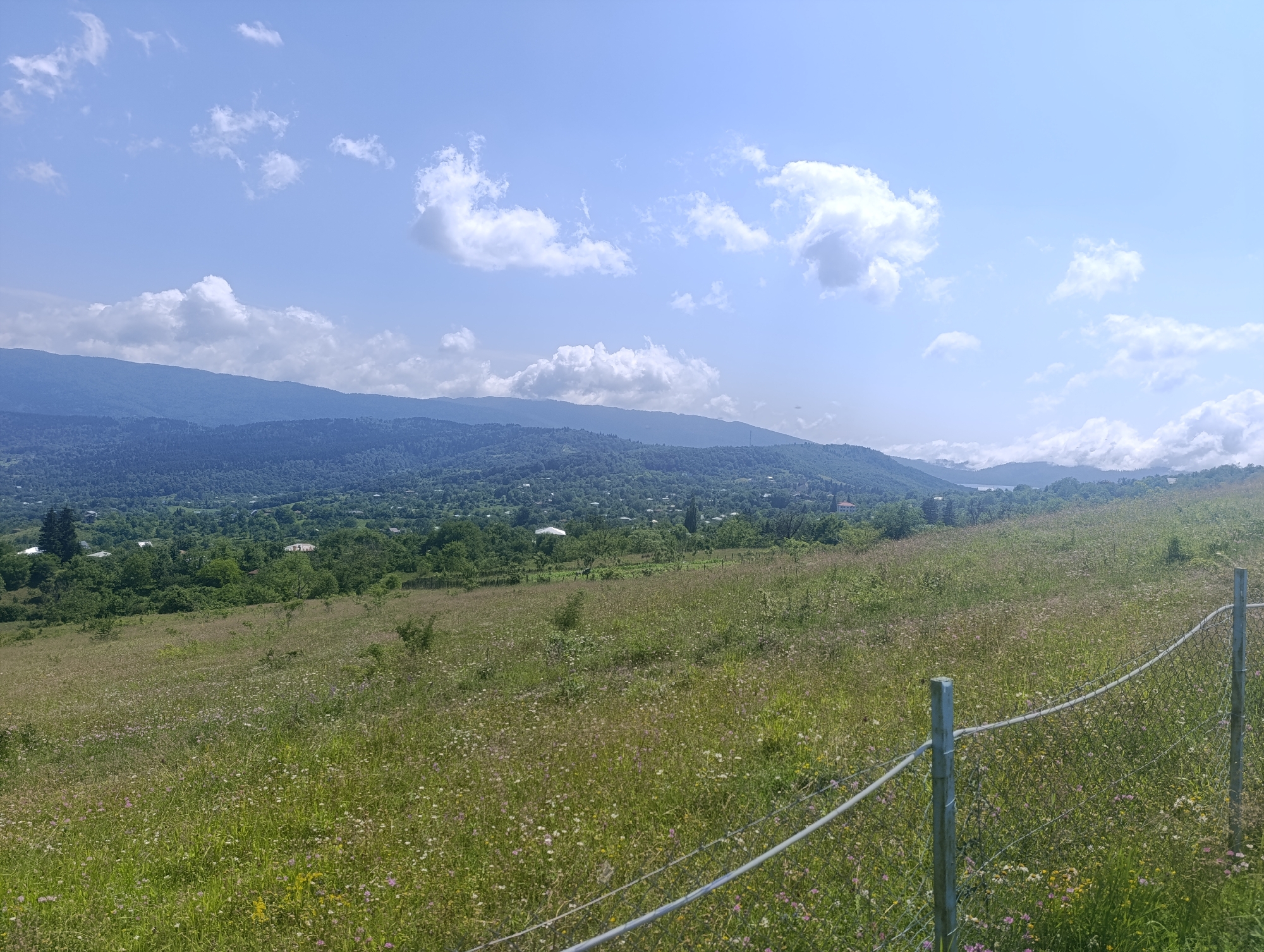 The image depicts a panoramic view of a rural landscape with rolling hills under a bright blue sky dotted with white clouds. In the foreground, a grassy field is covered with wildflowers of various colors, including pink, white, and yellow. A wire fence with metal posts runs diagonally across the lower right portion of the frame, marking the edge of the field.
The middle ground reveals a valley with a scattering of houses nestled amongst lush green trees. These structures appear to be residential, with some rooftops visible. The valley floor transitions into more densely wooded hillsides.
In the background, a range of larger, darker green mountains forms a distant horizon. The overall impression is one of a serene, natural environment, likely a hillside overlooking a village in a mountainous region. The scene is characteristic of the countryside surrounding Nikortsminda, Georgia, a region known for its natural beauty and traditional architecture. There are no people or animals visible in the image. The lighting suggests it is daytime, with the sun casting a clear light on the landscape.
