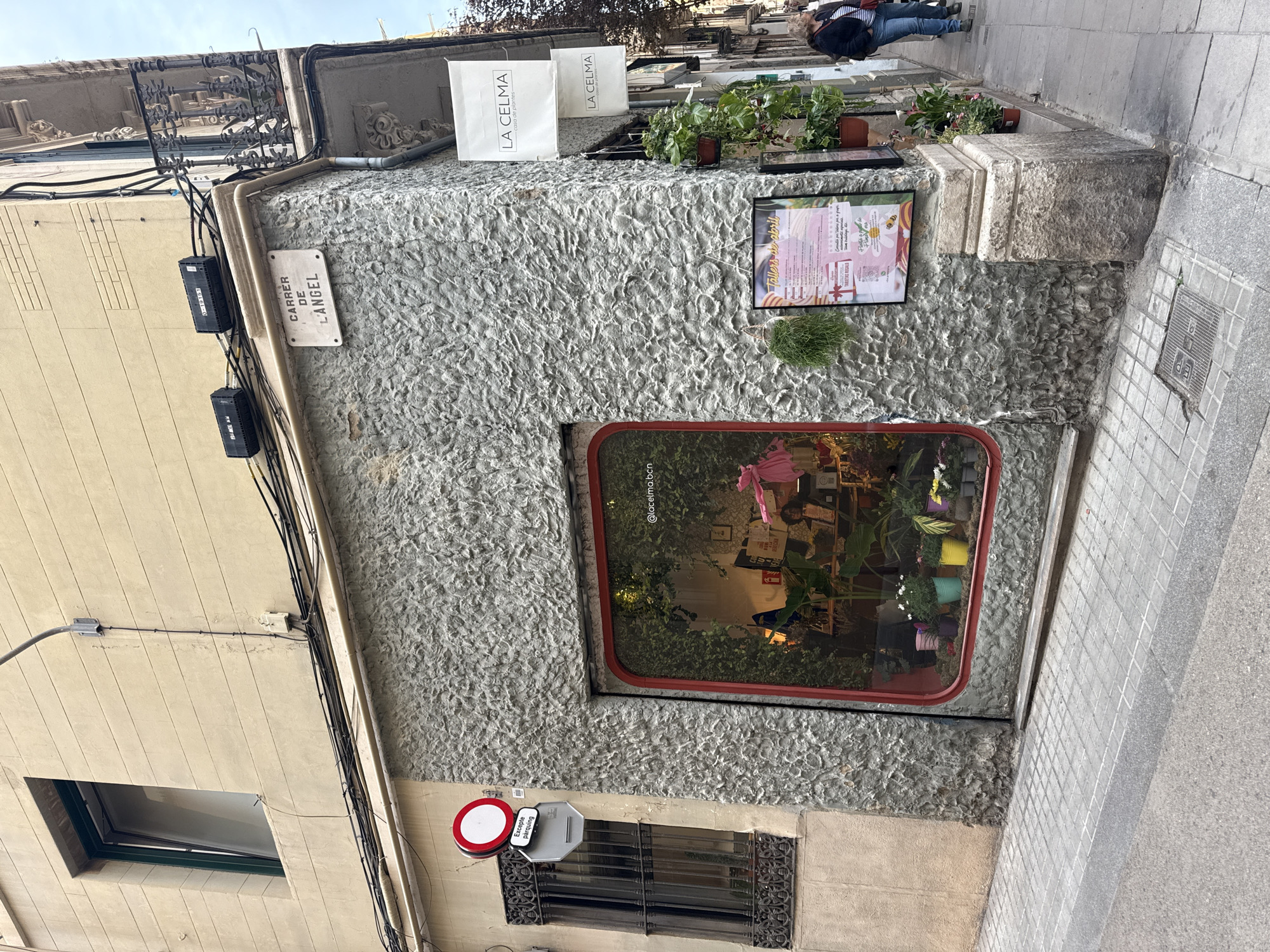 The image shows a street-level view in Barcelona, Spain. A building with a rough, grey stone facade is the primary subject. Above, two white shopping bags labeled "LA CELMA" are visible, accompanied by small potted plants and a framed advertisement. A unique, horizontally elongated window with a red frame is featured on the building's facade, displaying various plants and objects inside, bearing the social media handle "@lacelma.bcn". Below the window, there is a small, barred window and a sign indicating a parking exception. To the left, the side of an adjacent building is visible. A street name sign reads "CARRER DE L'ANGEL" (Angel Street). Electrical wires run along the building's side. On the sidewalk, a person is partially visible in the background walking away from the viewpoint. The sidewalk is paved with grey tiles and is adjacent to the building's facade.