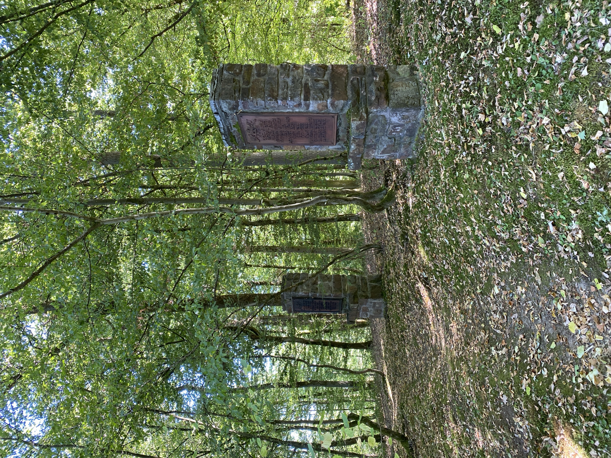 The image depicts a forest scene with two stone monuments. The monument in the foreground is a tall, rectangular structure made of rough-hewn stones, topped with a weathered metal plaque that appears to have an inscription or relief. The monument in the background is similar in construction but is shorter and has a darker plaque. The ground around the monuments is covered in fallen leaves and moss, indicating an autumn or late summer setting. Sunlight filters through the dense canopy of green leaves overhead, creating dappled light on the forest floor. A narrow, winding path is visible leading into the woods between the two monuments. The overall impression is one of a peaceful, natural setting with historical markers. The monuments are located in the forest near Altenkirchen, Germany, specifically near the former forest house "Hohe Buche."