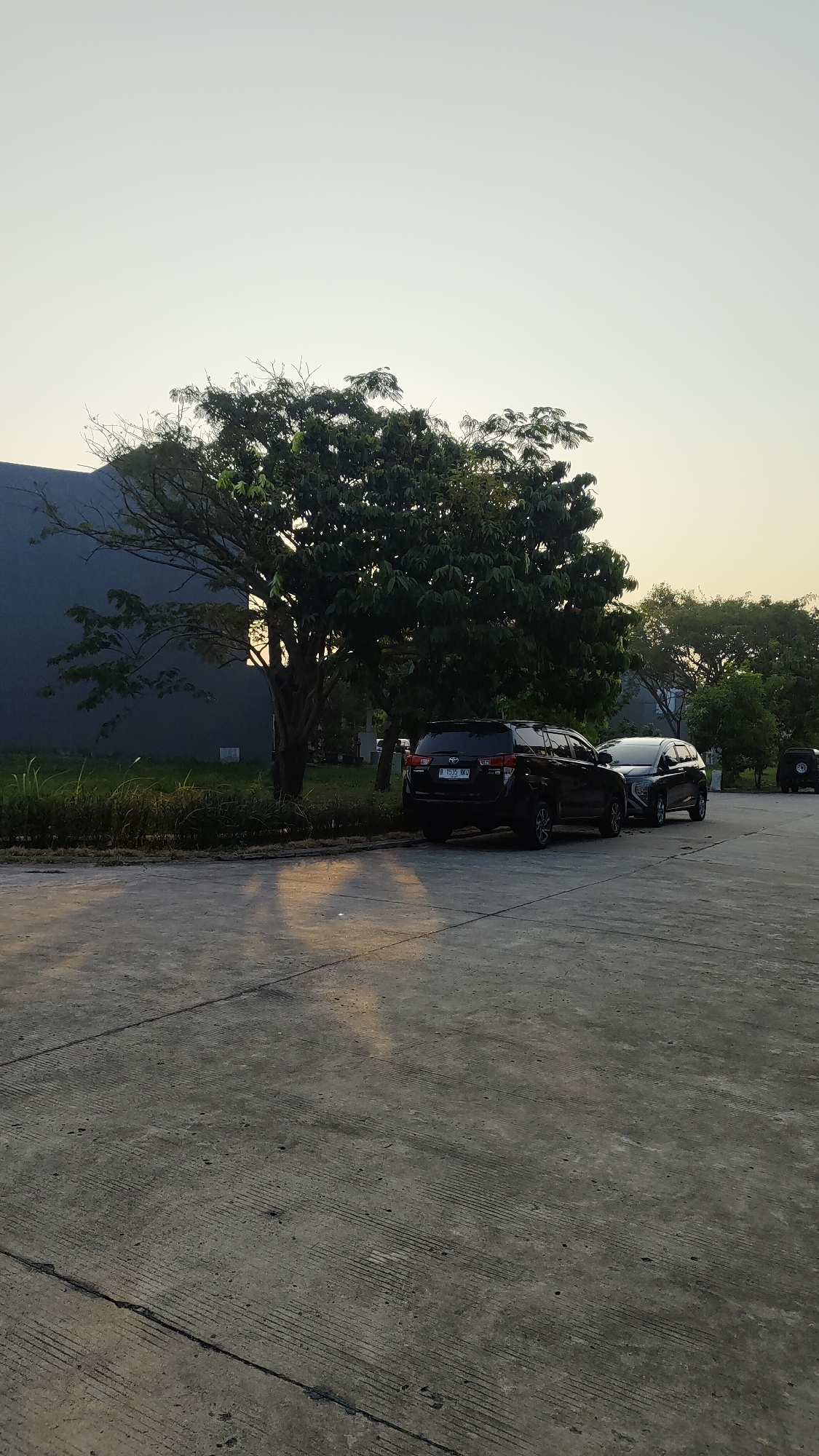 A scene in Setiamulya, Indonesia, captures a paved area with two parked cars. The foreground is a concrete surface with visible expansion joints and textured lines, showing signs of wear. The middle ground features two black SUVs parked side-by-side. The car on the left, a Toyota Fortuner, has a license plate starting with "B 1539 RKO". To its right is another SUV, partially obscured. Behind the cars, a line of green vegetation and grass borders a dark-colored building with a sloped roof. A large, mature tree with a wide canopy of green leaves stands prominently to the left of the building, casting long shadows across the concrete. The background shows more trees and a hazy sky, suggesting either early morning or late afternoon light.