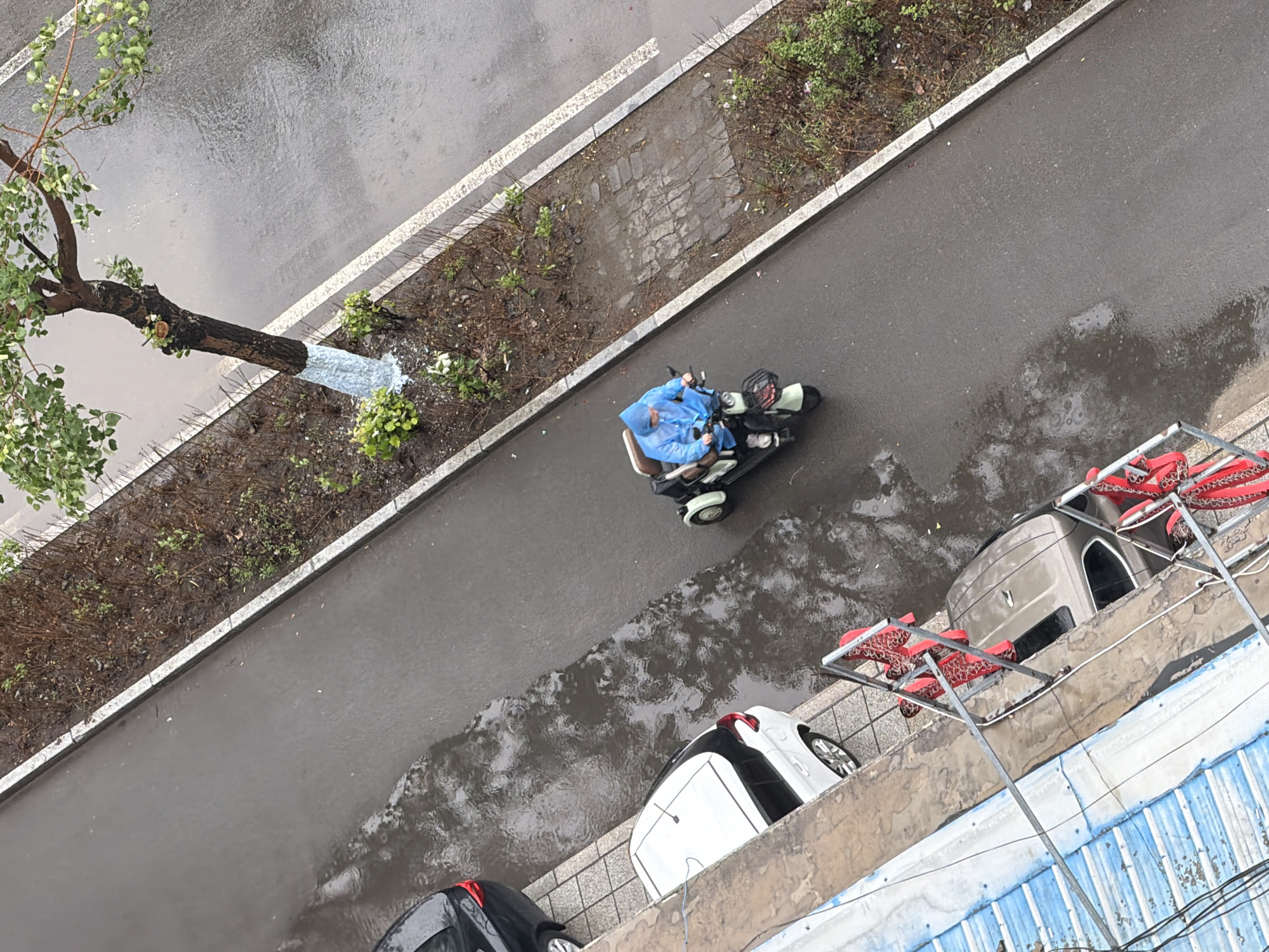 This aerial view captures a street scene in Tongjiang, China, under rainy conditions during the daytime. The asphalt road surface is wet, reflecting the grey sky, and visible puddles show ripples, indicating ongoing rain.
The central subject is a person riding a three-wheeled electric scooter or mobility device on the wet road. The individual is wearing a bright blue hooded rain poncho, suggesting protection from the weather.
To the left of the road, a leafy tree stands, its trunk prominently painted white or light blue at the base. Adjacent to the road is a narrow planted strip containing small bushes and bare earth, with some parts exhibiting a cobbled pattern. Double white lines are painted along the edge of the road.
On the right side of the image, alongside a building, several vehicles are parked. These include a dark gray car, a white hatchback, and a light brown or tan van. Above the parked cars, the architecture of a building is visible, featuring a concrete ledge and a blue corrugated metal roof. Affixed to the concrete ledge are metal racks, which are holding numerous bright red, patterned objects arranged in strings or clusters, possibly drying items such as shoes or food products.
No visible text is present in the image. The overall scene depicts a typical urban environment navigating wet weather.
