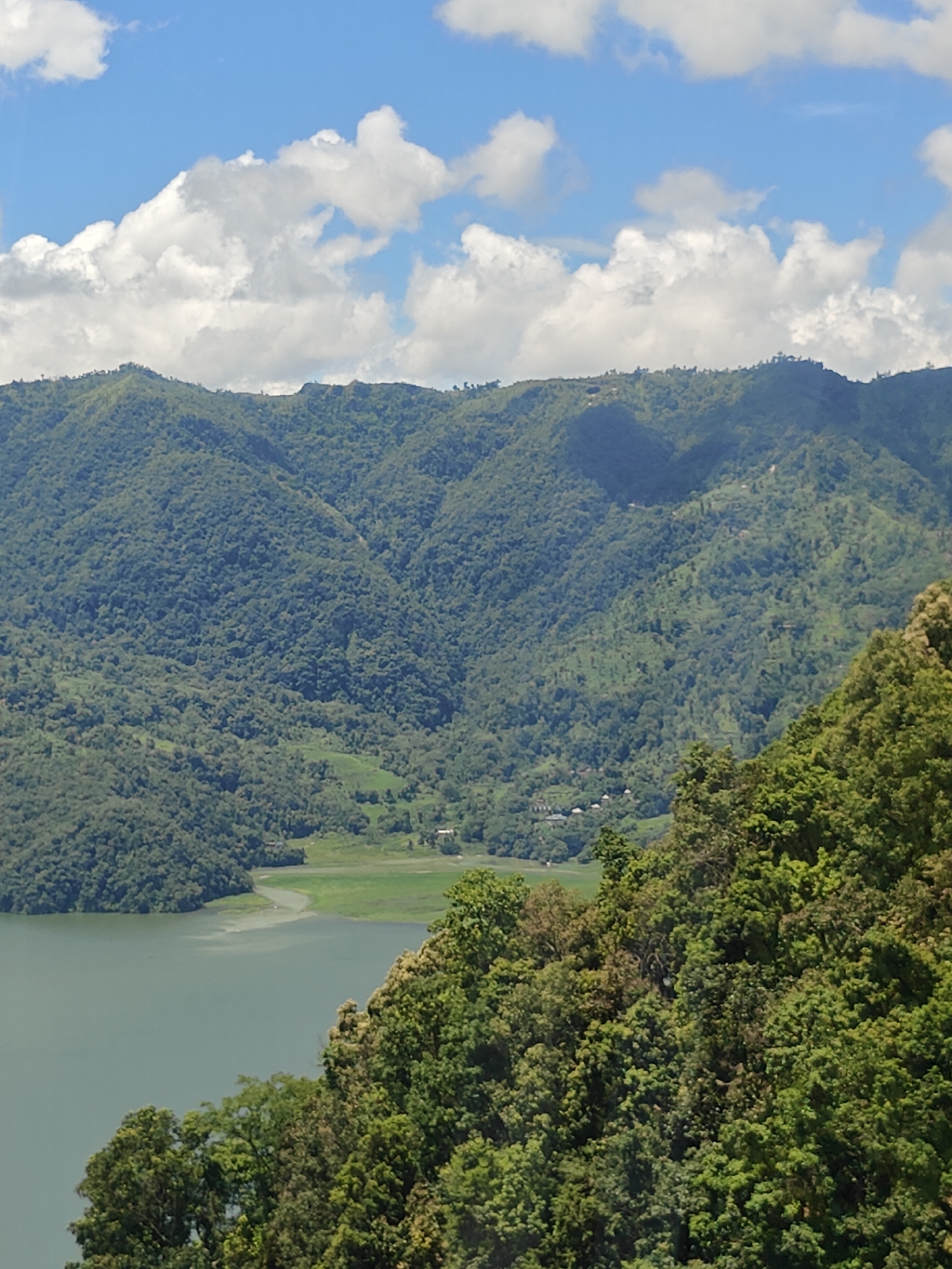 The image captures a scenic view of the Begnas Lake in Pokhara, Nepal. The foreground is dominated by lush green trees, their foliage dense and vibrant, creating a sense of depth. Beyond the trees, the calm, greenish waters of Begnas Lake stretch out, its surface reflecting the soft light of the day. The lake is bordered by a strip of green land, which gives way to rolling hills covered in thick vegetation. These hills rise towards the horizon, their slopes intricately patterned with shadows and lighter patches, indicating the contours of the terrain. In the distance, the sky is a brilliant blue, punctuated by fluffy white clouds. The overall scene is serene and picturesque, showcasing the natural beauty of the Pokhara valley.