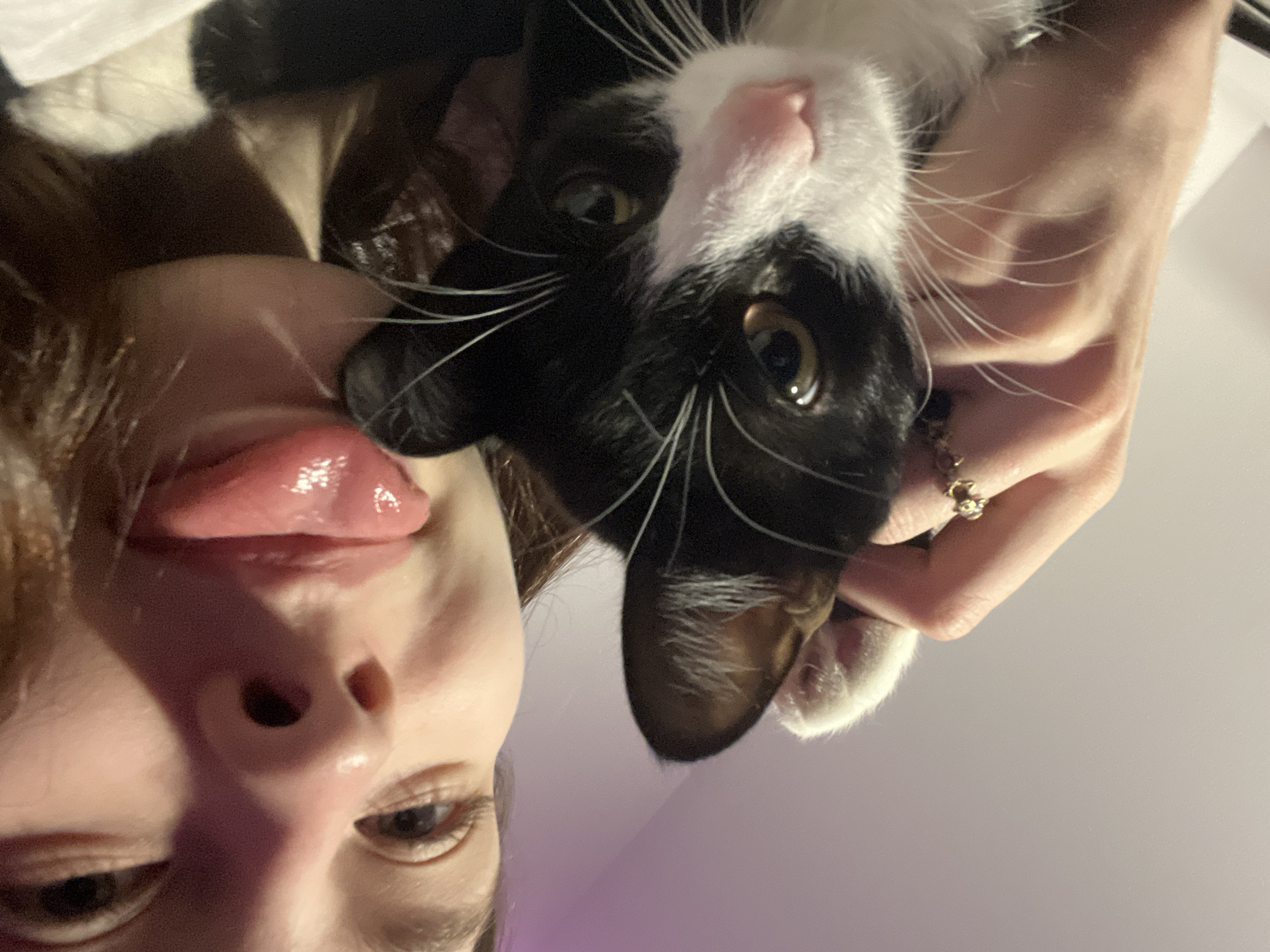 A selfie is presented, showing a person with their tongue extended, positioned next to a black and white cat. The cat is being held by the person. The setting is unclear, and there's no indication of Saint Petersburg, Russia.