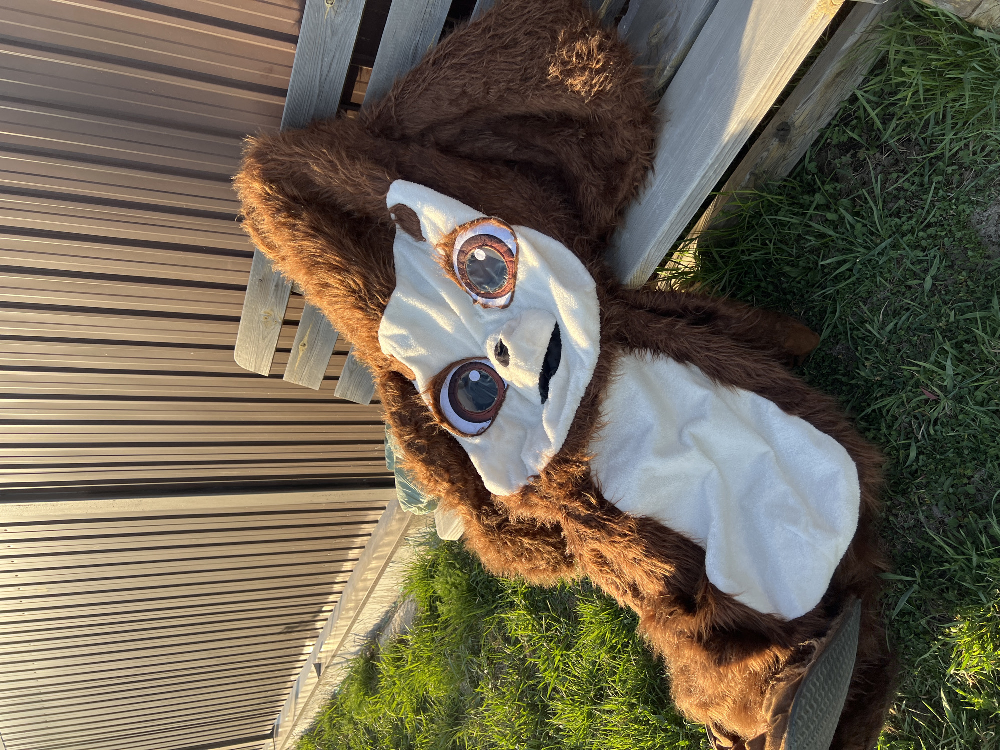 A fuzzy, brown and white animal costume lies on a wooden bench. The bench is situated between a brown metal building and a patch of green grass. The city and specific location are unknown.