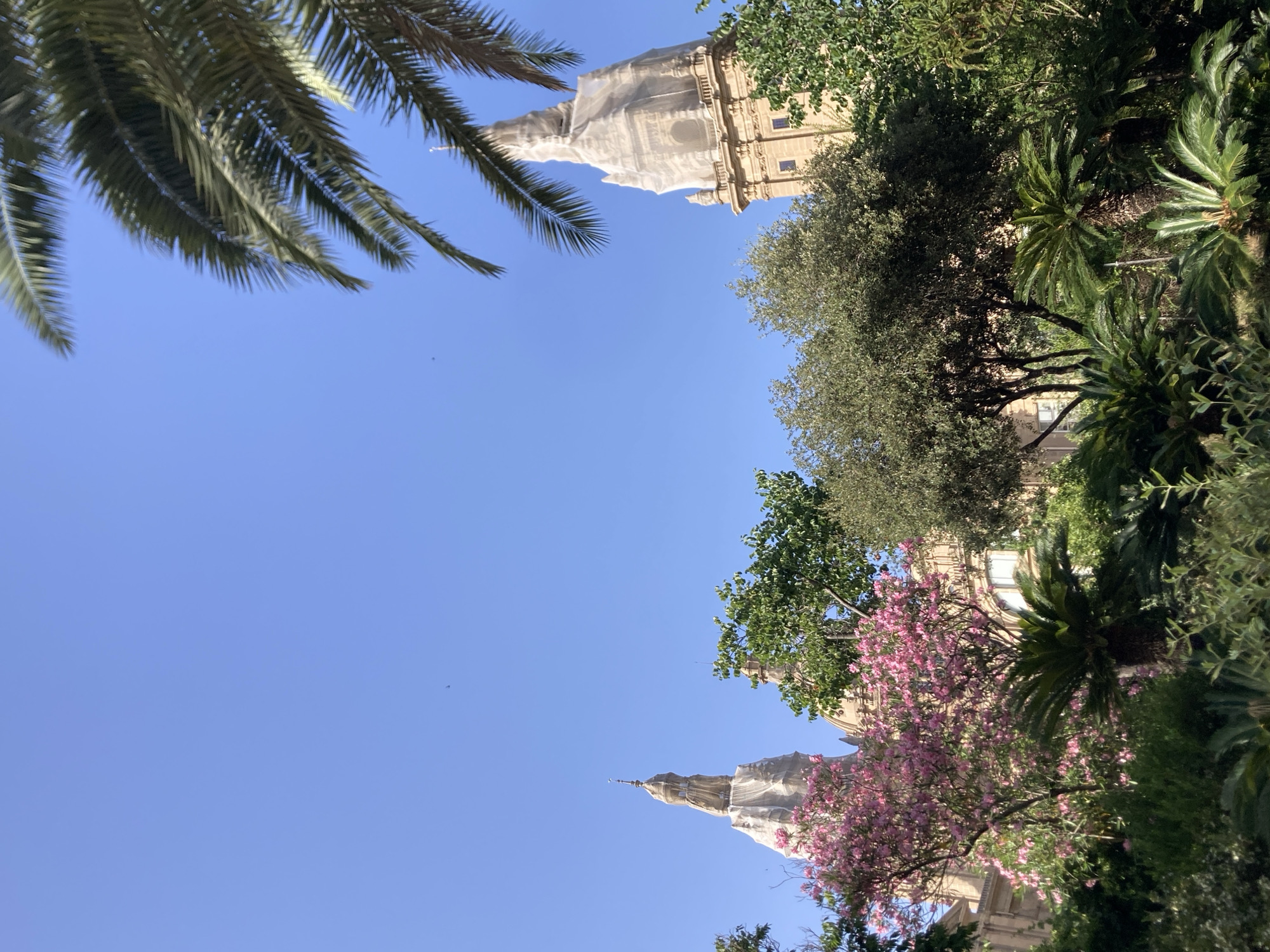 The image depicts a view of two towers, likely part of a historical building in Barcelona, Spain, possibly undergoing renovation as suggested by the coverings on the towers. These structures are set against a clear blue sky. In the foreground, lush greenery, including palm trees, flowering bushes with pink blossoms, and various other plants, creates a garden-like setting. One of the towers is more prominently visible on the right, showcasing its architectural details beneath the protective covering, while the other tower is partially obscured by trees on the left. The scene is bathed in daylight, indicating an outdoor setting.