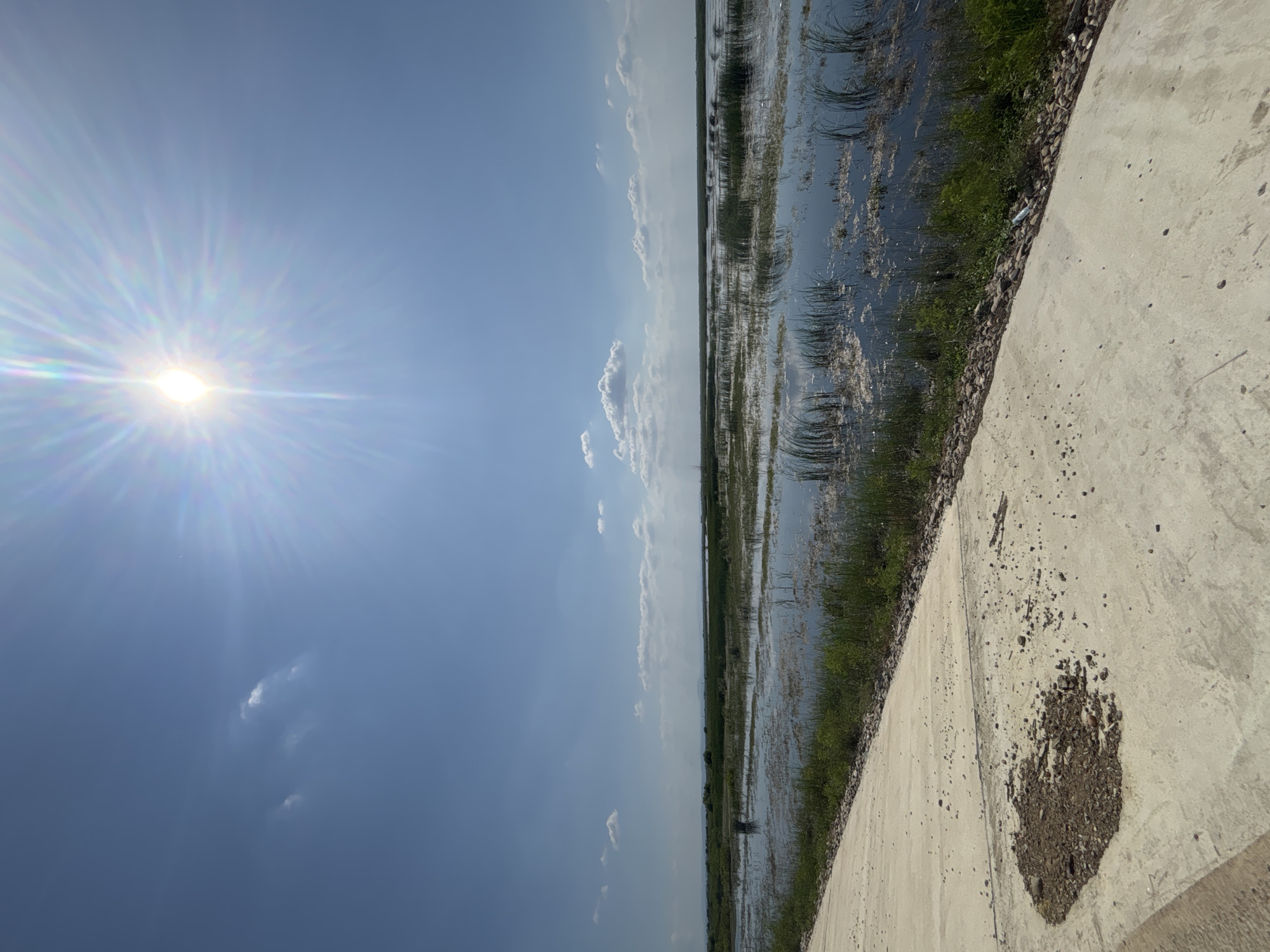 An eye-level, wide-angle shot captures a vast, still body of water bordered by a concrete path on the left and dense vegetation on the right, under a bright, clear sky dominated by a sunburst effect. The water, reflecting the blue sky and some scattered white clouds, is partially covered with aquatic plants and reeds. The concrete path, appearing aged with some debris scattered across it, leads diagonally into the scene from the lower left corner. The background consists of a distant treeline or low hills. The sun, positioned high in the sky and slightly to the left, emits strong rays, creating a lens flare effect that washes over the upper portion of the image. The scene depicts a natural wetland environment adjacent to a man-made structure, likely in or around the city of Khomuty, Russia. There are no people or animals visible in the frame.
