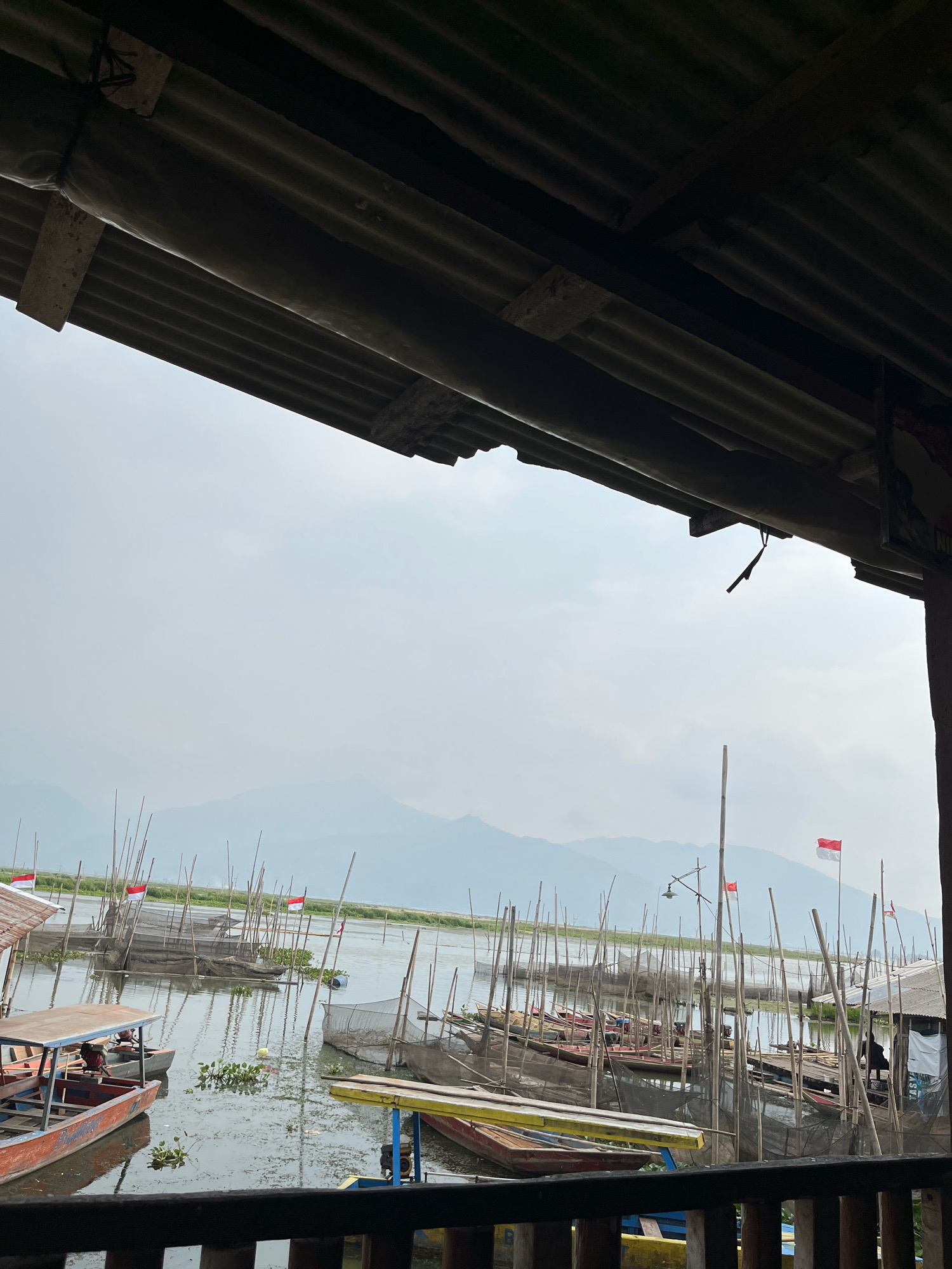 The image captures a view from under a corrugated metal roof, looking out over a body of water in Tuntang, Indonesia. The foreground shows the underside of the roof, constructed with corrugated metal sheets supported by wooden beams. Beyond the roof, a lake or large pond is visible, filled with numerous small boats docked and moored. Many of these boats are associated with fish farming, indicated by nets and wooden poles extending from the water. Several Indonesian flags, red and white, are prominently displayed on poles amongst the fishing structures. In the distance, hazy mountains rise against a pale, overcast sky. The water appears murky with patches of aquatic vegetation. The overall scene suggests a fishing village or aquaculture area, characteristic of many lakeside communities in the region.