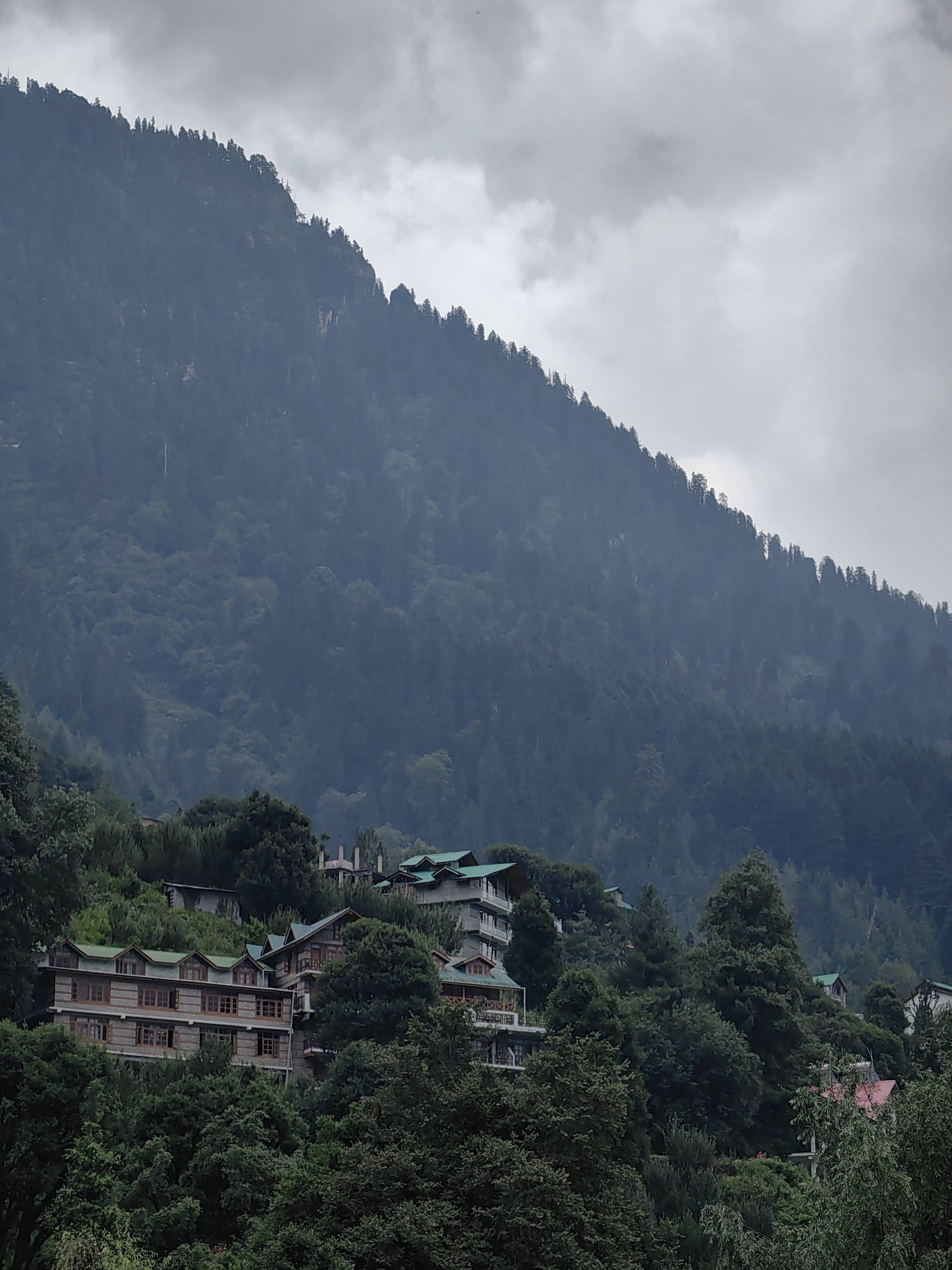 In Vashisht, India, a cluster of buildings with traditional architecture, featuring wooden accents and green tiled roofs, are nestled into the lush green slopes of a forested mountain. The buildings appear to be hotels or guesthouses, with multiple stories and balconies. Dense foliage, including numerous trees, surrounds the structures, suggesting a rural or mountainous environment. The sky is overcast with heavy clouds, casting a soft, diffused light on the scene. The overall impression is one of a serene, possibly humid, mountain landscape dotted with human settlements.