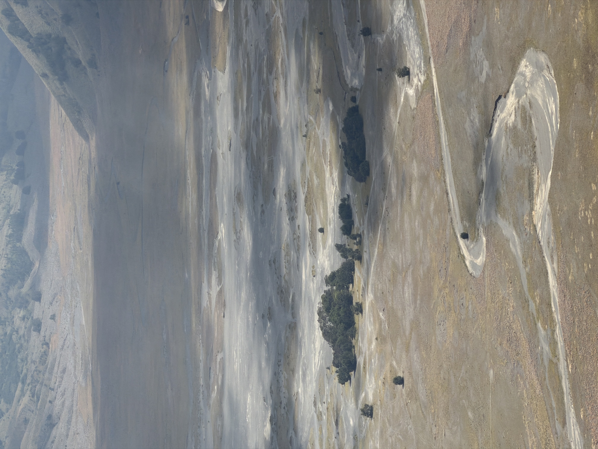 This is a high-angle, long shot of a vast, arid landscape in Cemorolawang, Indonesia. The terrain is characterized by rolling hills and a flat, sandy plain with a winding river or dry riverbed. Sparse vegetation, including small clumps of trees and scattered bushes, dot the landscape. A dirt road snakes through the plain. The scene is bathed in soft, diffused light, with shadows casting long streaks across the ground. The atmosphere appears hazy, possibly due to dust or mist. No people are visible in the image. The environment suggests a remote, undeveloped area with natural geological formations.