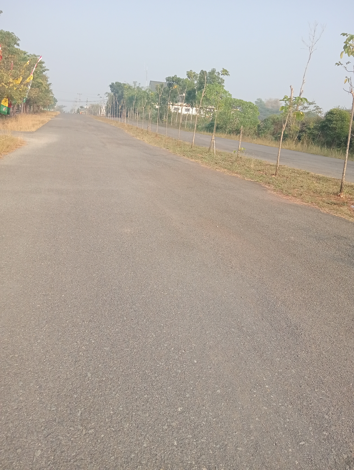 The image shows a paved road in a semi-rural area, possibly on the outskirts of Sidoharjo, Indonesia. The road is lined with young trees on both sides, many of which are staked. In the distance, there are buildings and vegetation, with a hazy sky suggesting a warm or humid climate. Flags are visible on the left side of the road, suggesting a potential event or significant location. The road appears to be relatively empty, with no vehicles or pedestrians immediately visible. The overall scene depicts a developing area with infrastructure in place but still in its early stages of growth.