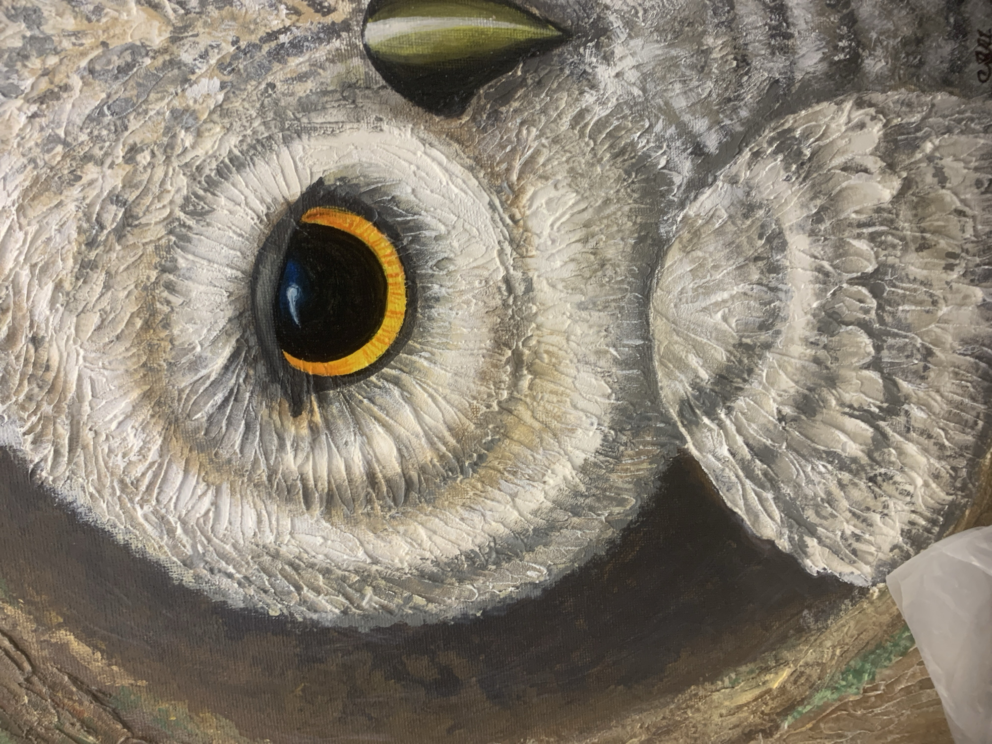 The image is a close-up of an oil painting, featuring the head of an owl. The focus is primarily on the left eye, which has a black pupil surrounded by a bright yellow iris. The feathers around the eye are painted in shades of white, grey, and light brown, with thick brushstrokes giving a textured appearance. Above the eye is a dark green beak. The surrounding feathers are similarly painted in a textured manner. The lower part of the image shows a brown, textured area that appears to be a branch or part of the owl's perch. To the lower right, a portion of a translucent white plastic object is visible.
There is no indication that the image is in the city of Izhevsk, Russia.