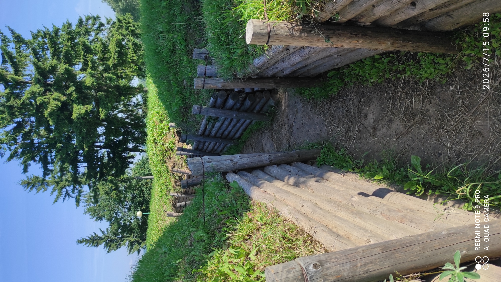 The image depicts a view down a trench constructed with wooden logs and posts. The trench is overgrown with green grass and some dry foliage on the ground. Tall evergreen trees are visible in the background under a clear blue sky. A small, light-colored lamp post is partially visible among the trees on the left. The timestamp "2026/7/15 09:58" and "REDMI NOTE 9 PRO AI QUAD CAMERA" are watermarked on the lower right and lower left corners of the image, respectively. The overall scene suggests a historical reenactment site or a preserved military installation in a rural, possibly park-like, setting within the Лашанскі сельскі Савет, Belarus.