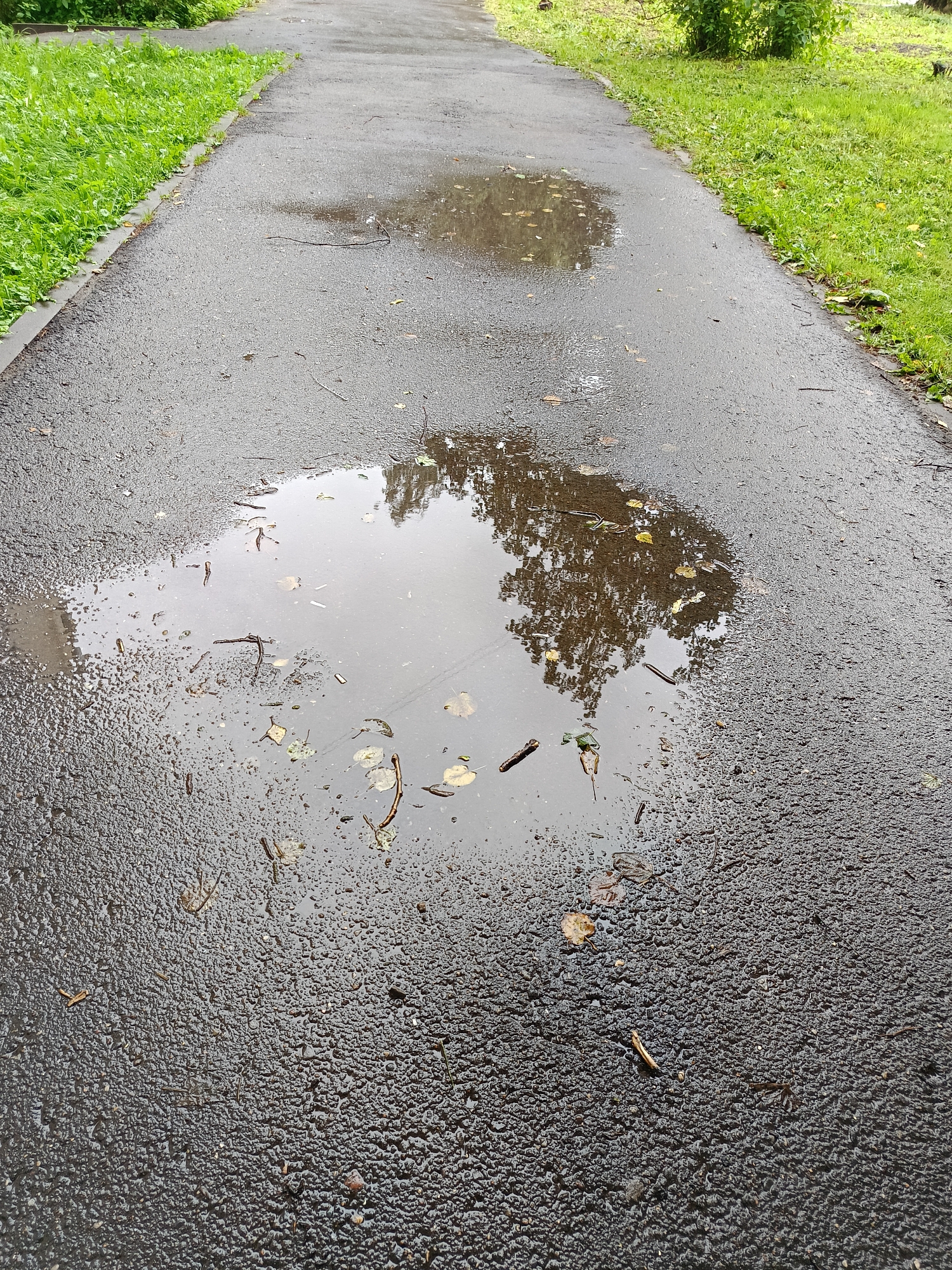 An eye-level, medium shot captures a wet asphalt pathway in an outdoor setting. The pathway, which curves slightly to the left as it recedes into the distance, is flanked on both sides by vibrant green grass. Puddles of water are scattered across the surface of the asphalt, the largest and most prominent being in the foreground, reflecting the surrounding foliage and a tree. The surface of the asphalt appears textured with small pebbles. The lighting suggests an overcast day, with diffused light and muted colors. There are no people or animals visible in the image. The overall impression is one of a tranquil, perhaps recently rained-on, park or walking trail.