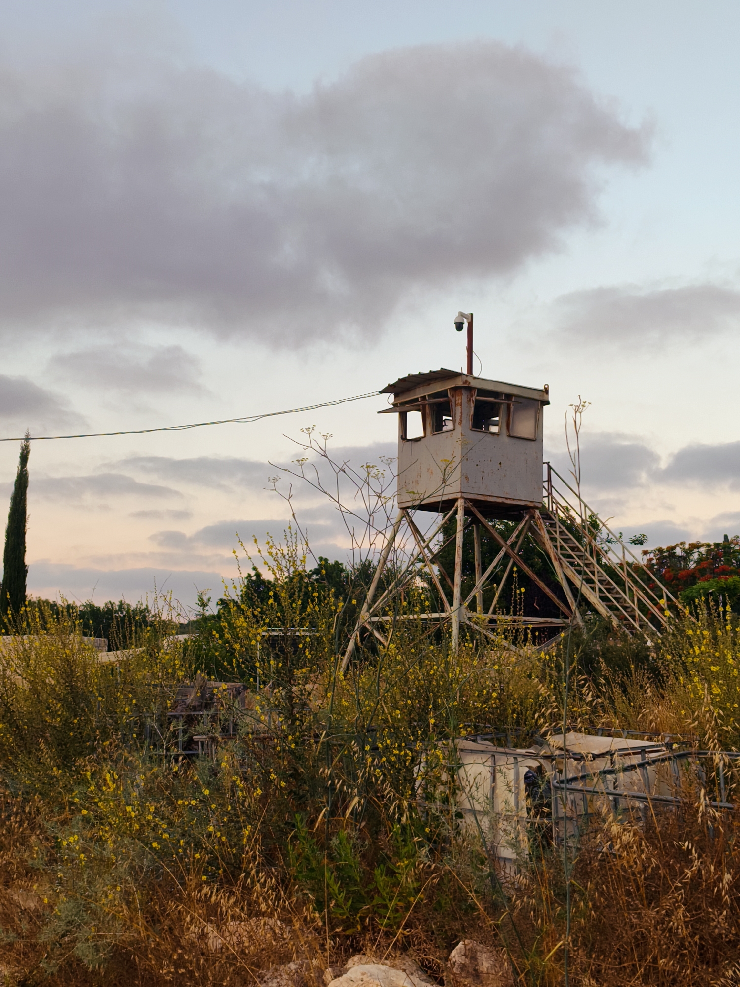 A derelict guard tower stands in a rural area, possibly in the Lachish Regional Council of Israel, surrounded by overgrown vegetation and wild yellow flowers. The tower, made of rusted metal, is elevated on a lattice of supports and features a small cabin at the top with windows. A security camera is mounted on a pole above the cabin. A set of stairs leads up to the cabin, and a power line stretches across the sky in the background. The sky is filled with a mix of light and dark clouds, with a hint of sunset colors. In the foreground, dry grass and rocks are visible. The overall scene evokes a sense of abandonment and decay.