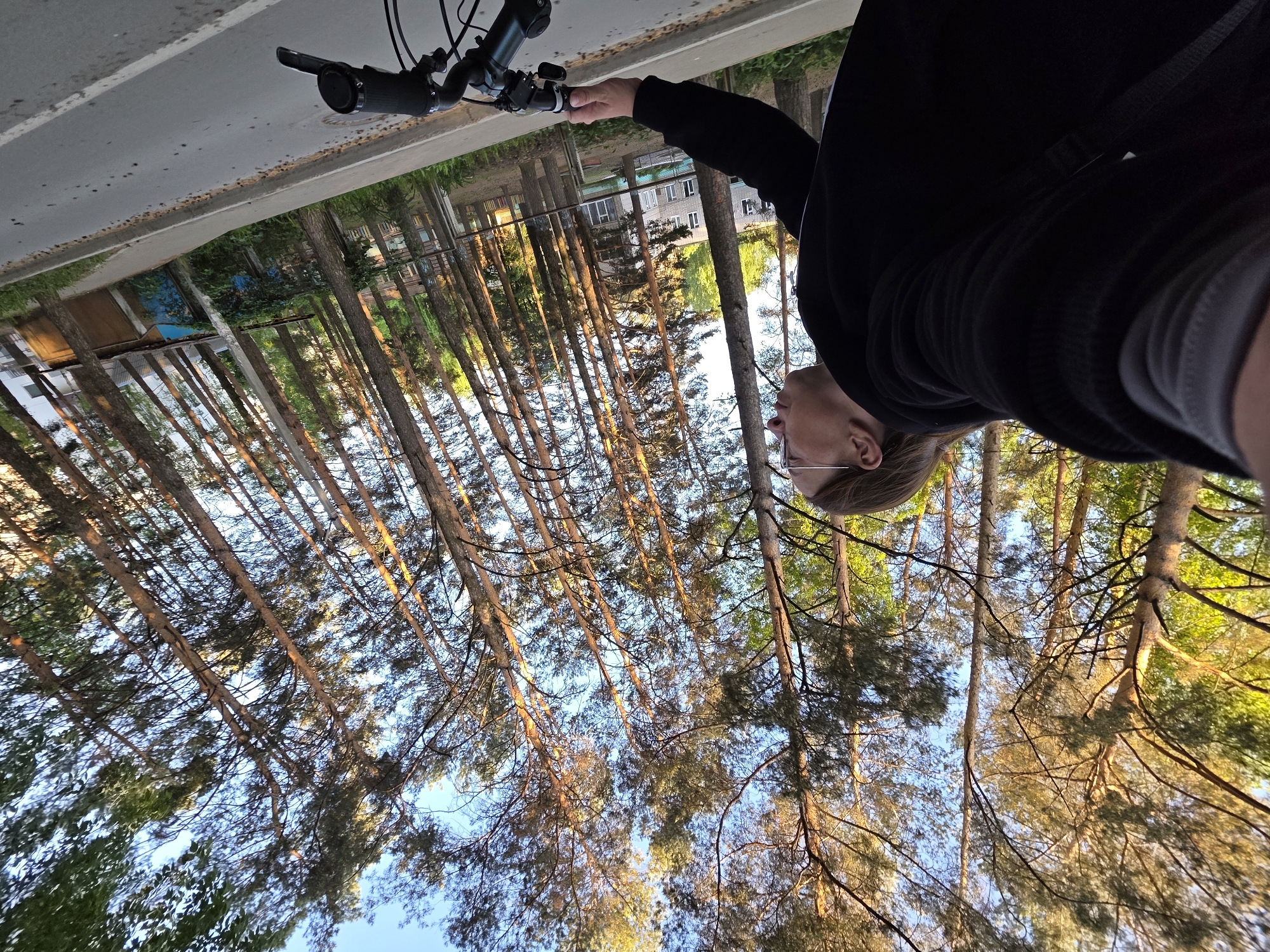 The image shows a person holding the handlebars of a bicycle, likely taking a selfie. The background consists of a dense pine forest with a few buildings visible in the distance. The scene appears to be in a park or forest area in the city of Chaikovsky, Russia. The trees create a pattern of vertical lines with the blue sky visible in between. The lighting suggests it is either early morning or late afternoon. The person in the photo is wearing glasses.