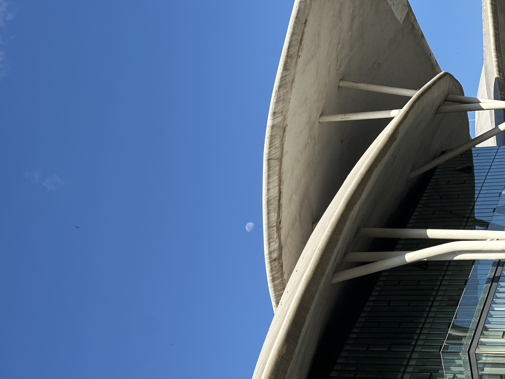 The image captures a low-angle view of modern architecture against a clear blue sky in an unknown city. The foreground is dominated by two curved, concrete structures, possibly parts of a building or bridge, supported by white cylindrical pillars. To the right, reflections on the glass facade of a building add depth to the composition. In the sky, to the left of the architectural elements, there is a faint, pale orb, likely the moon, accompanied by a few small flying objects, potentially birds or insects.
