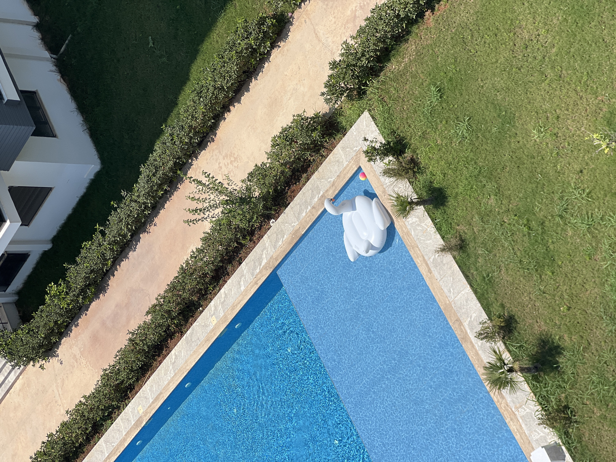 An aerial, slightly angled view captures an outdoor scene in Aksu, Turkey, featuring a swimming pool and its surroundings. The swimming pool, filled with bright blue water, occupies the left side of the frame, with a shallow section visible towards the foreground. A white inflatable swan floats in the deeper part of the pool, near a small, multi-colored ball. The pool is bordered by a light-colored stone coping. To the right of the pool, a beige paved walkway runs diagonally upwards, flanked by neatly trimmed green hedges. Beyond the walkway and hedges, a modern white building with dark-framed windows and a dark gray roof is partially visible. The foreground and the area between the walkway and the building are covered in lush green grass, with a few small bushes and a young palm tree present. The lighting suggests it is a sunny day, casting shadows across the scene.