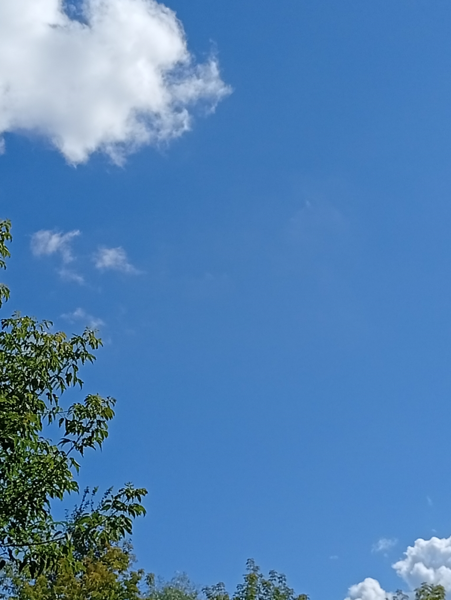 The image shows a clear blue sky with a few scattered white clouds. The top left corner has a large, fluffy white cloud. The bottom left and bottom of the image feature the tops of green trees with lush foliage. The scene appears to be outdoors on a sunny day, likely in a park or a residential area with significant tree cover. There are no people or animals visible in the frame. The image does not contain any specific landmarks or details that would allow for pinpointing its location within Pavlovsky Posad, Russia.